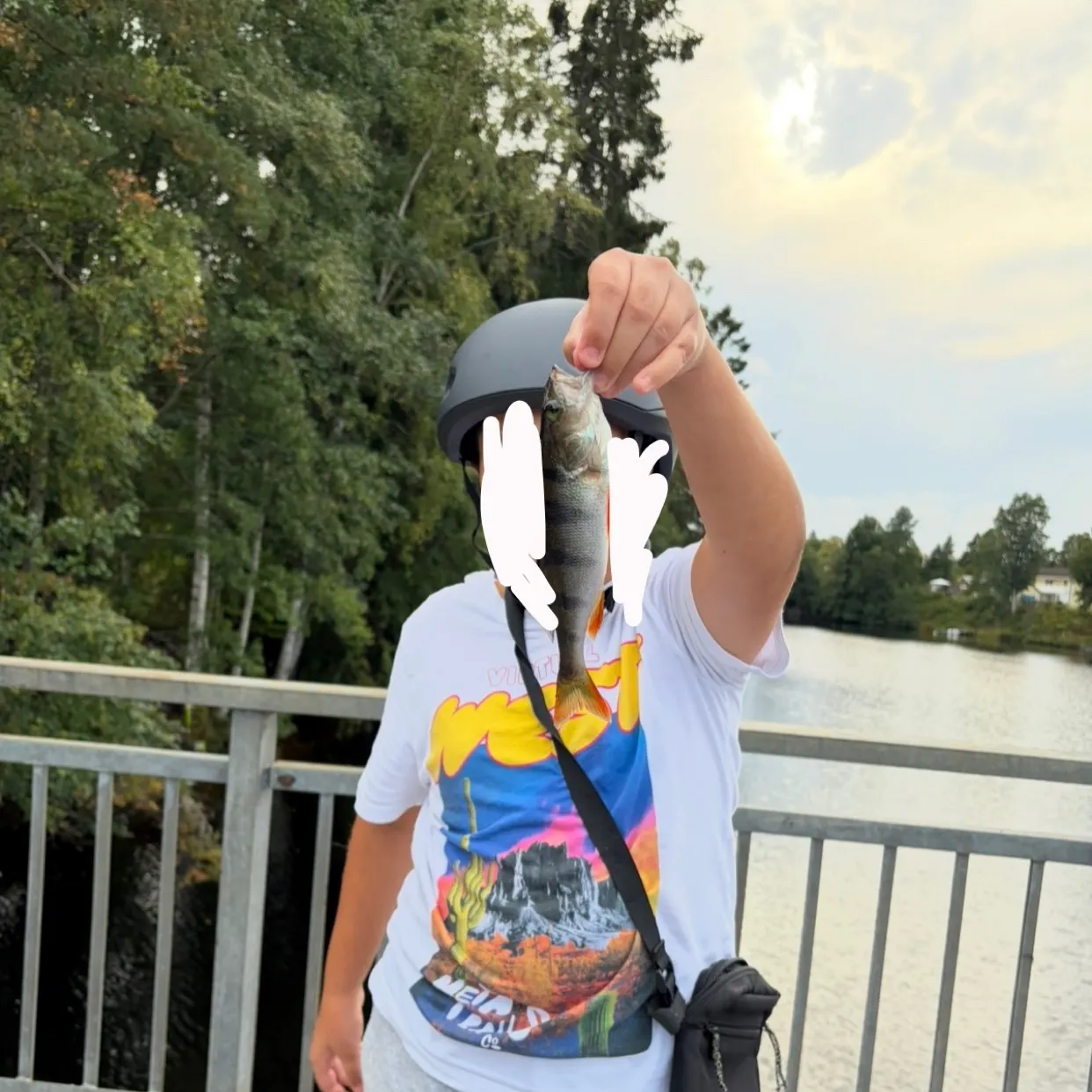 European perch caught on Fishbrain