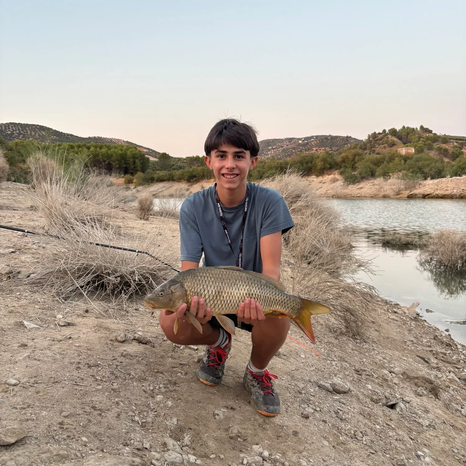 Common carp caught on Fishbrain