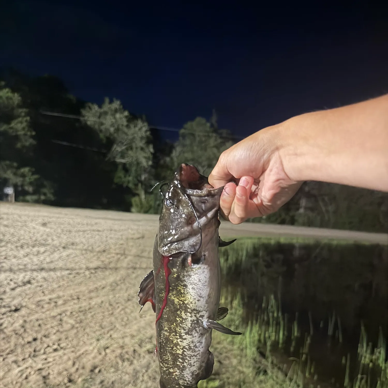 catch