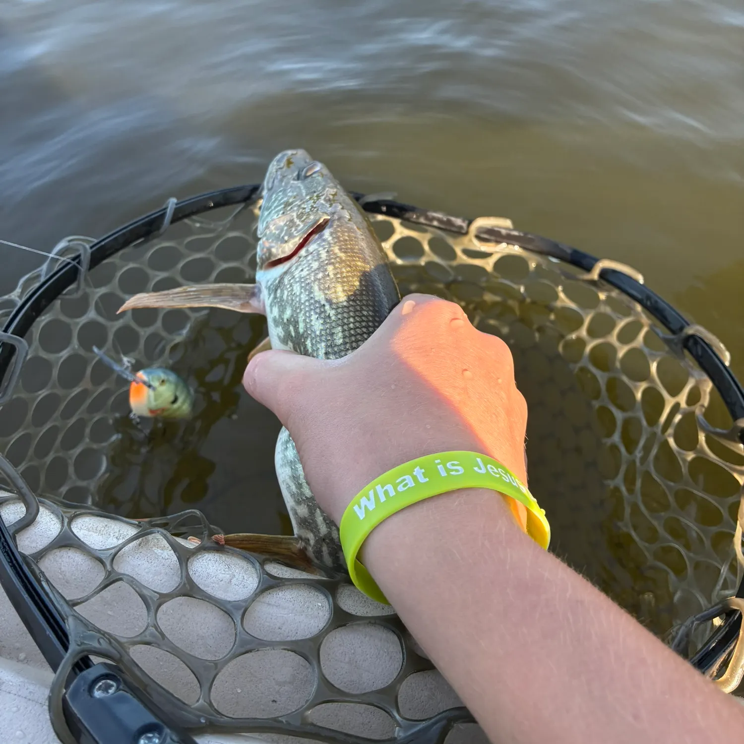 Northern pike caught on Fishbrain