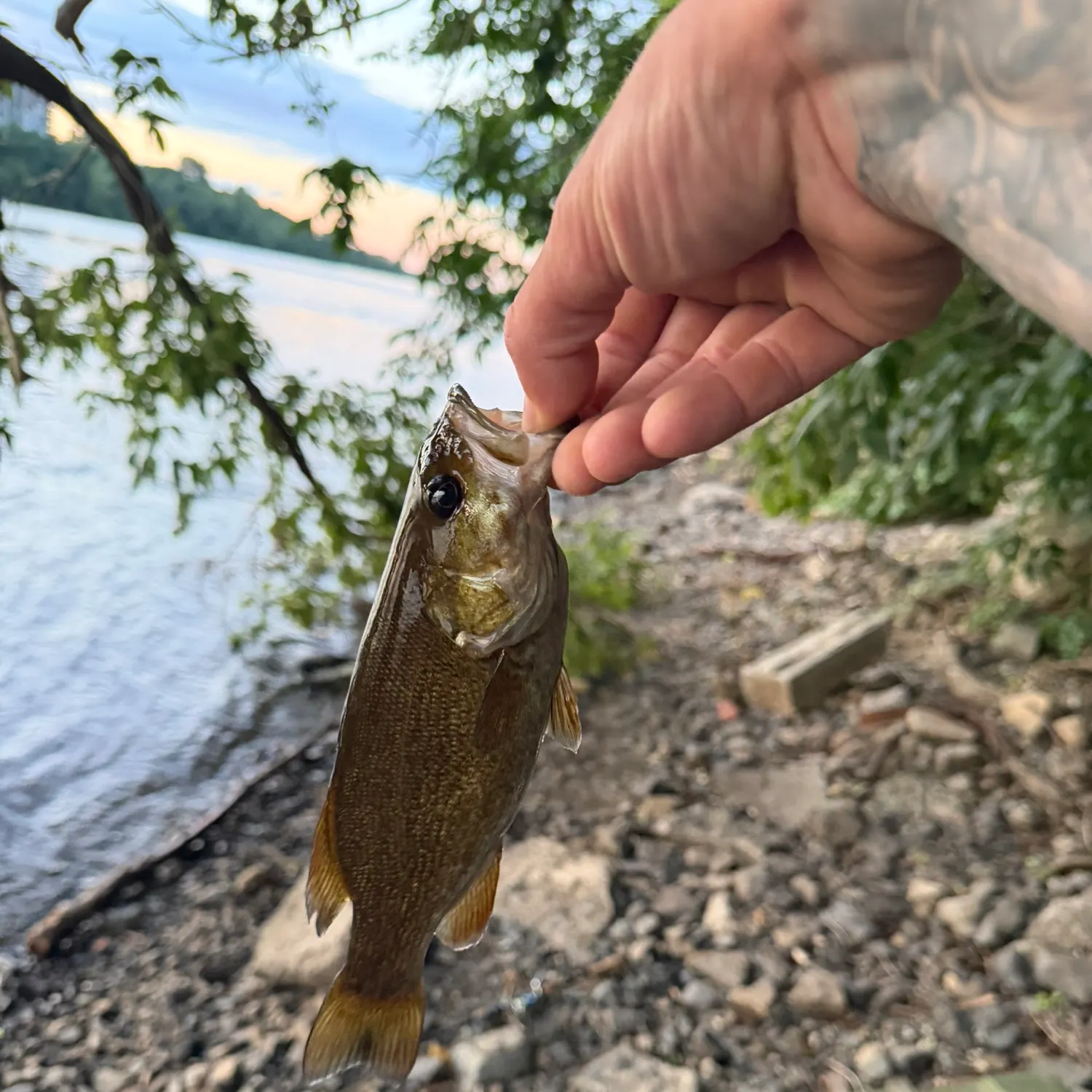 catch