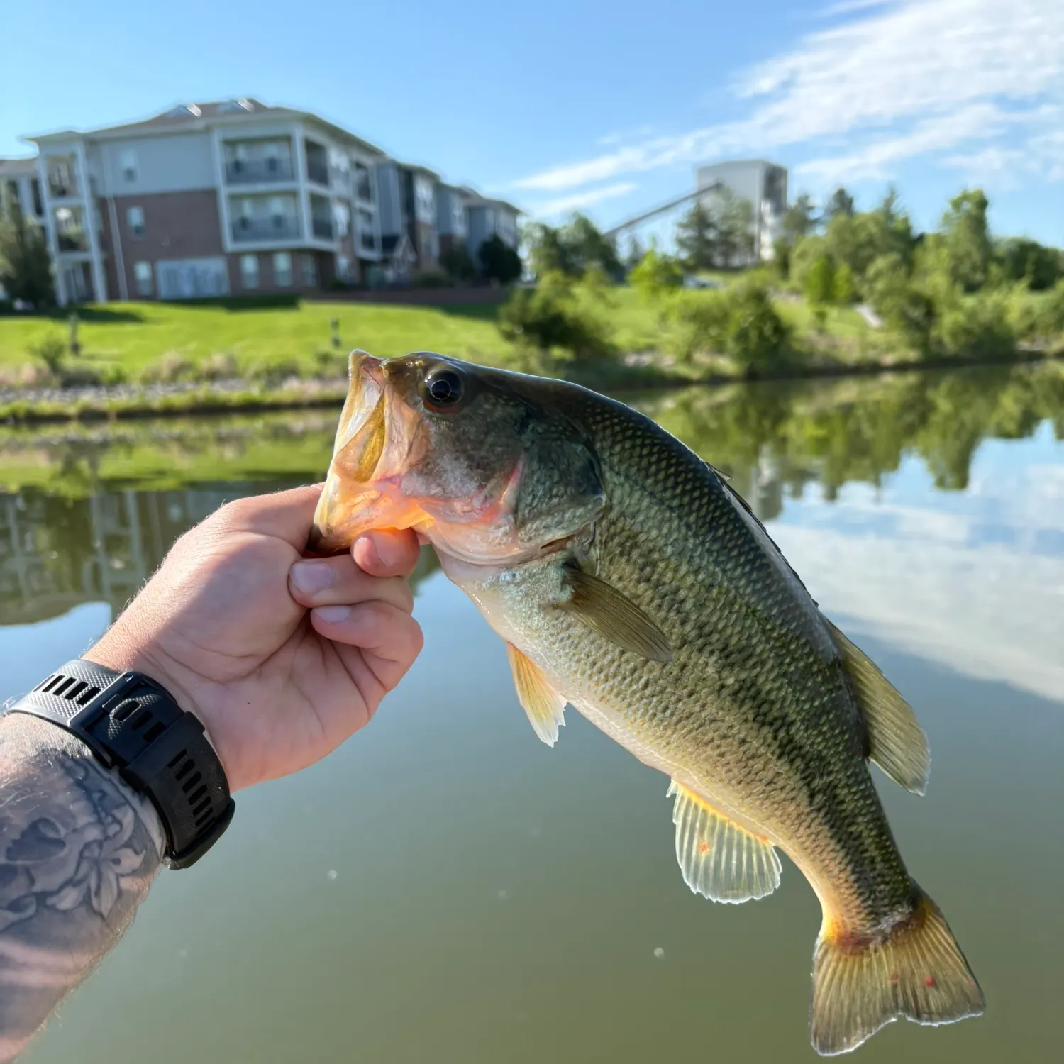 catch