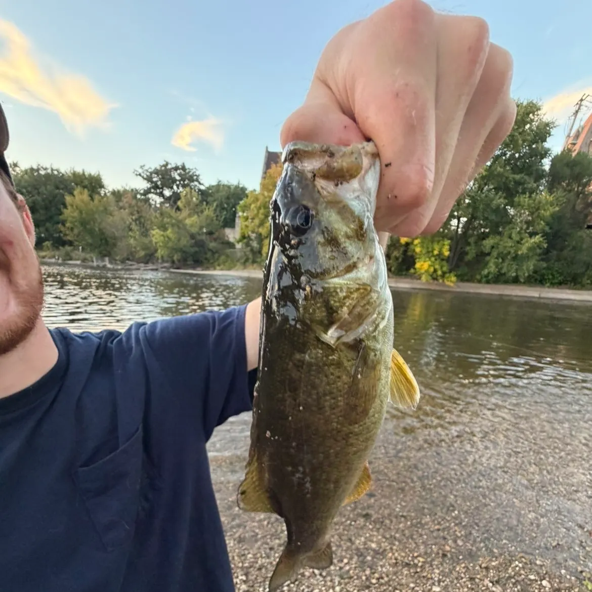 Smallmouth bass caught on Fishbrain