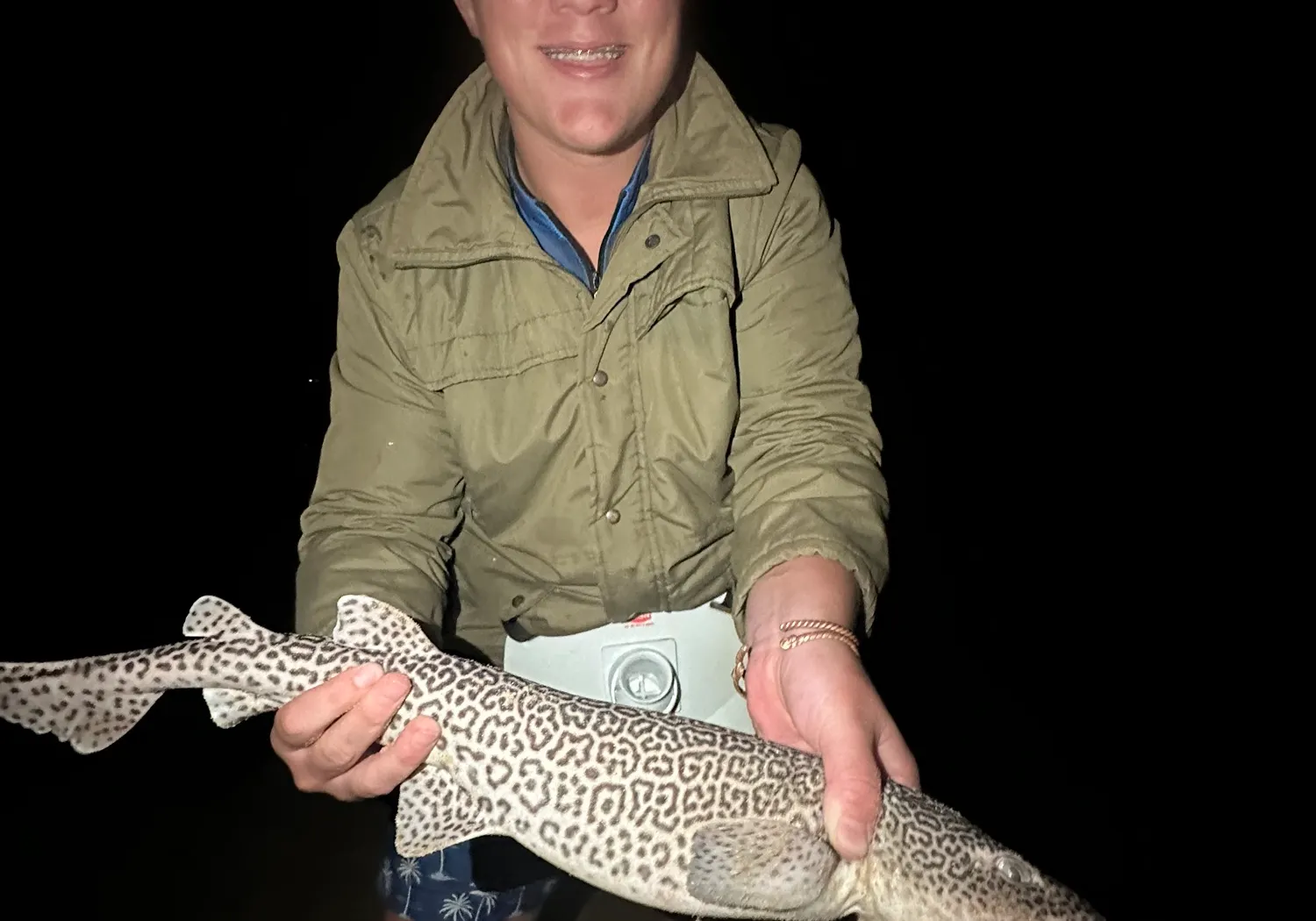 Leopard catshark