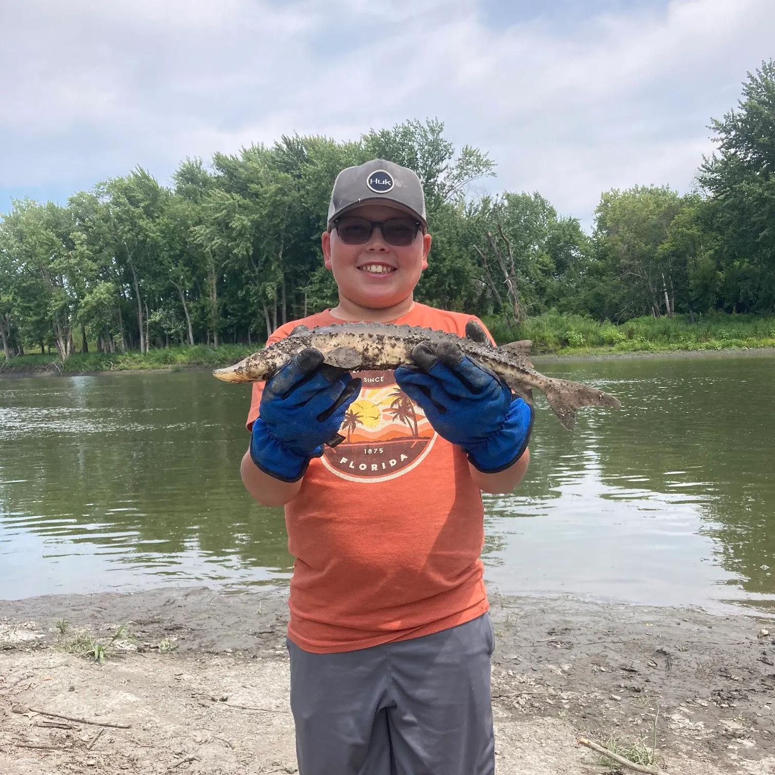 The most recent Shovelnose sturgeon catches on Fishbrain