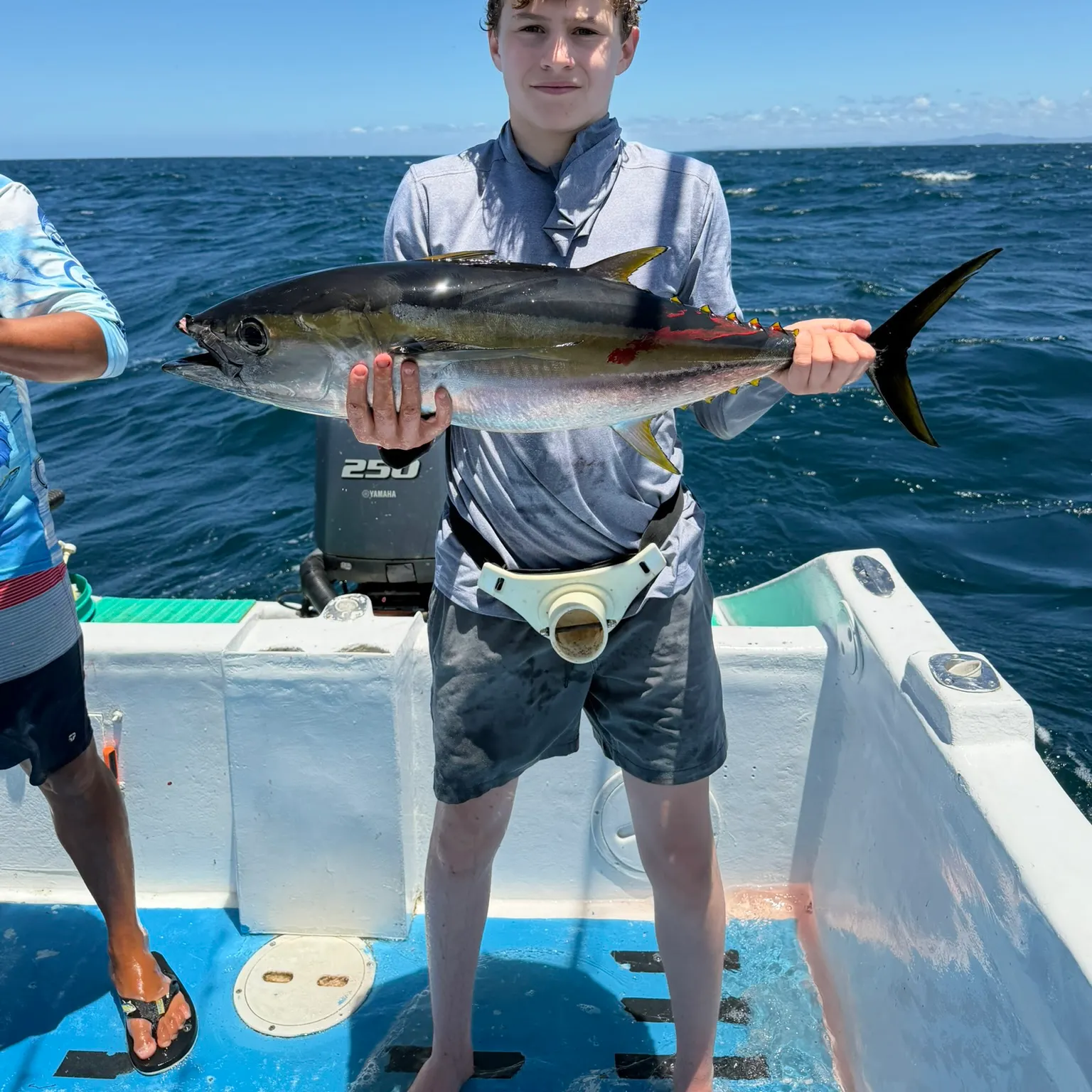 The most recent Yellowfin tuna catches on Fishbrain
