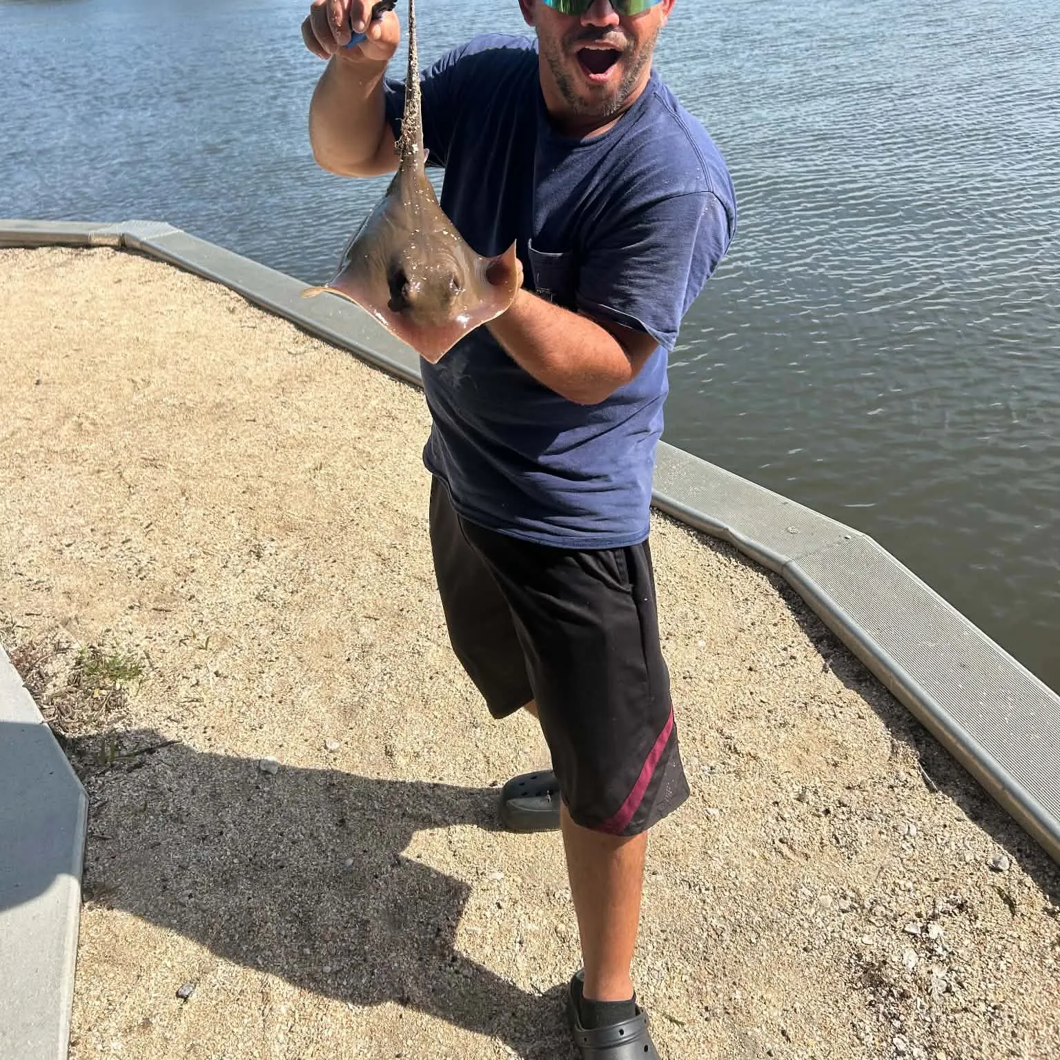 The most recent Atlantic stingray catches on Fishbrain