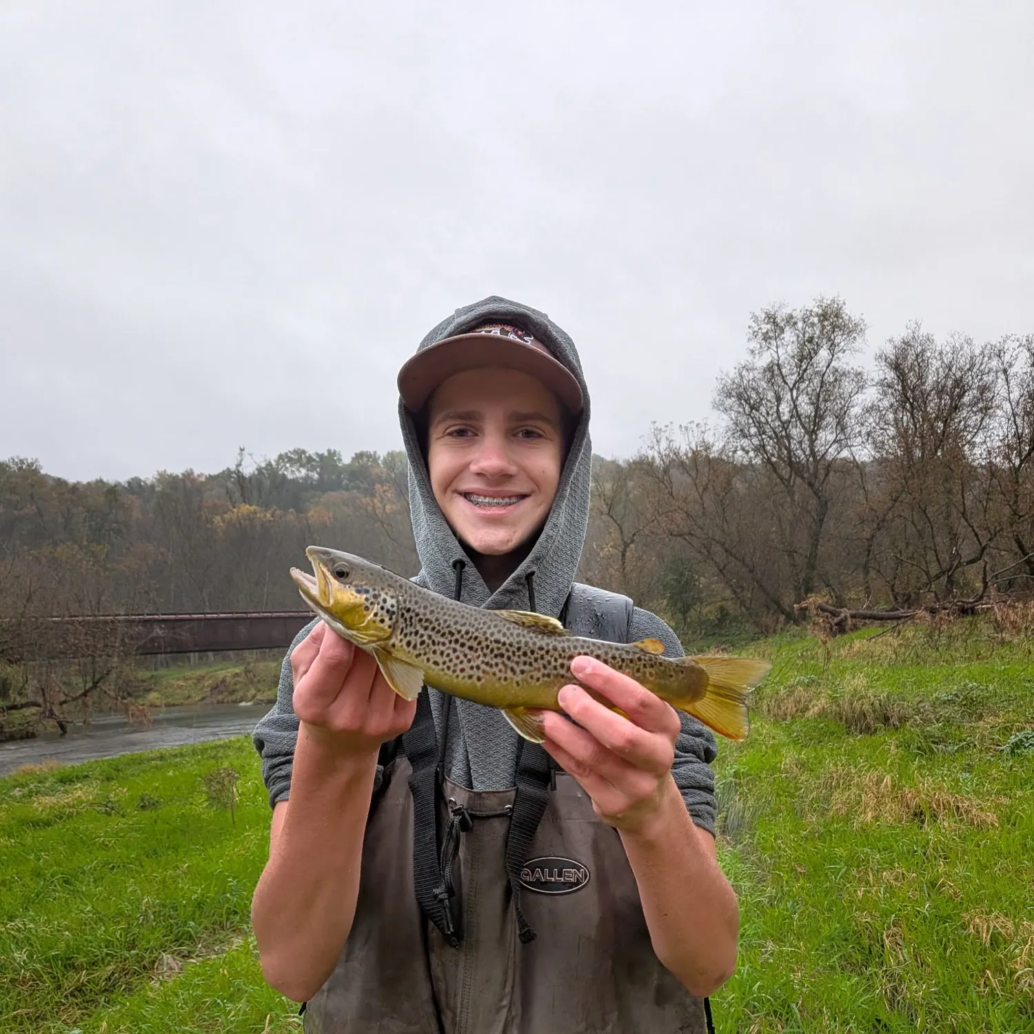 Brown trout caught on Fishbrain