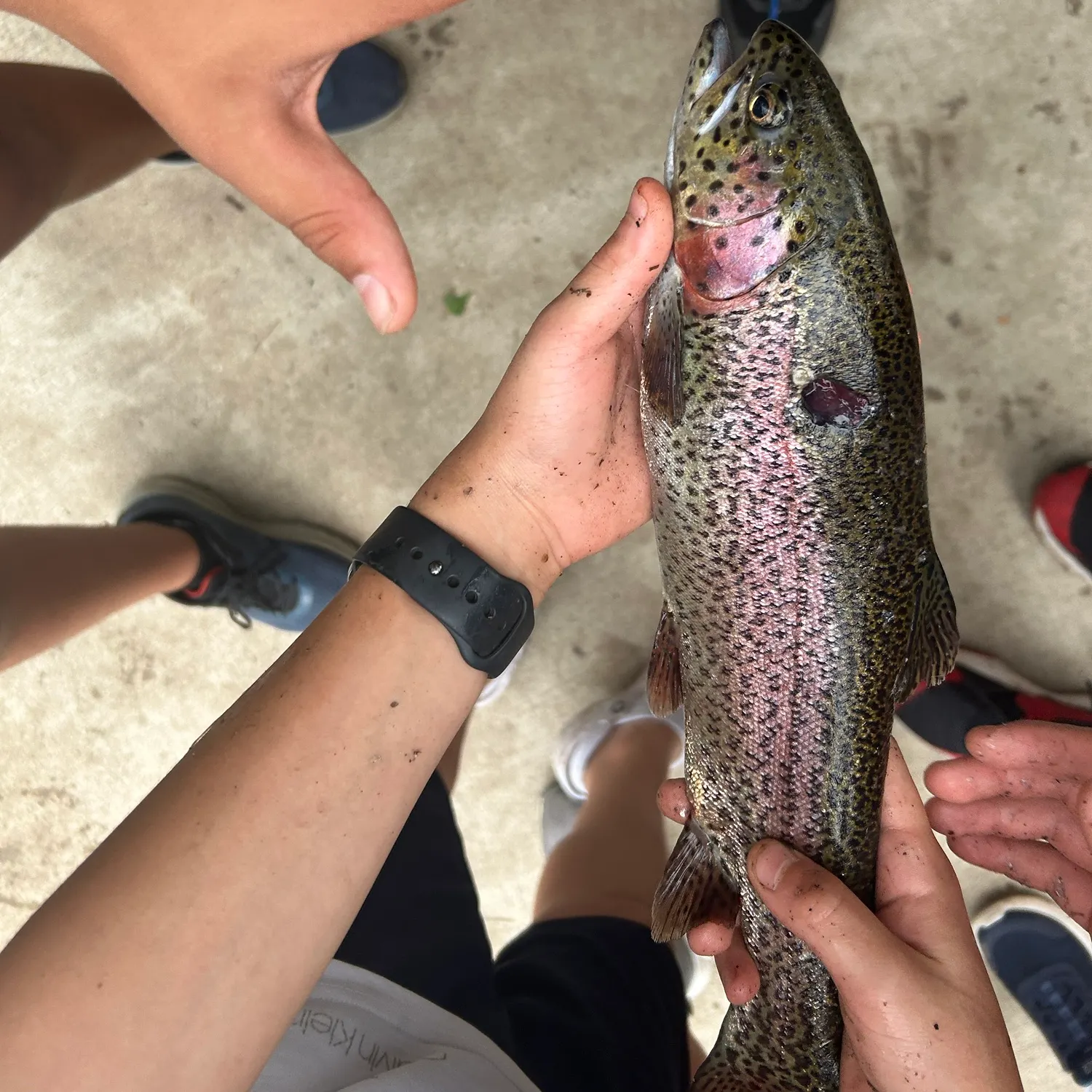 catch