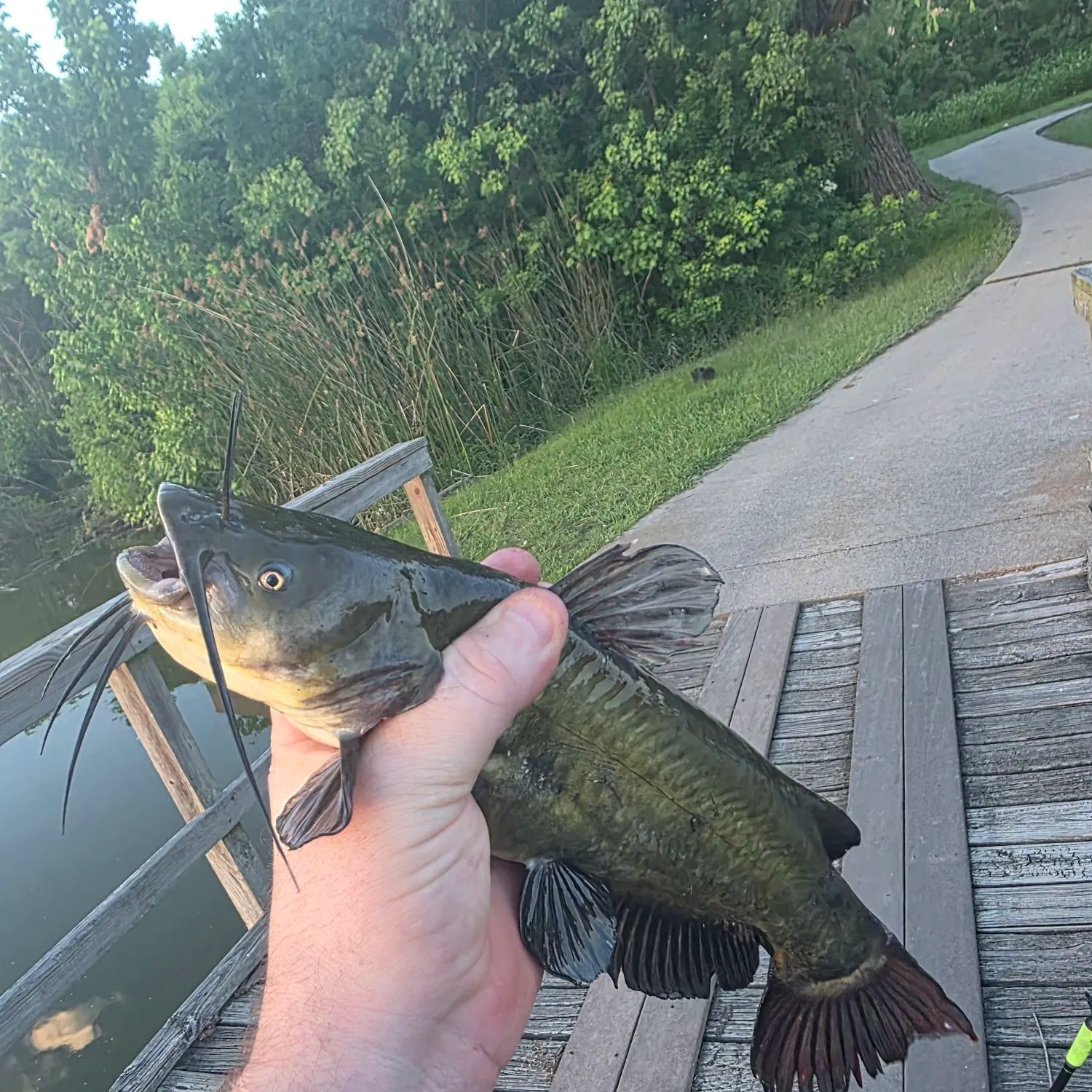 catch