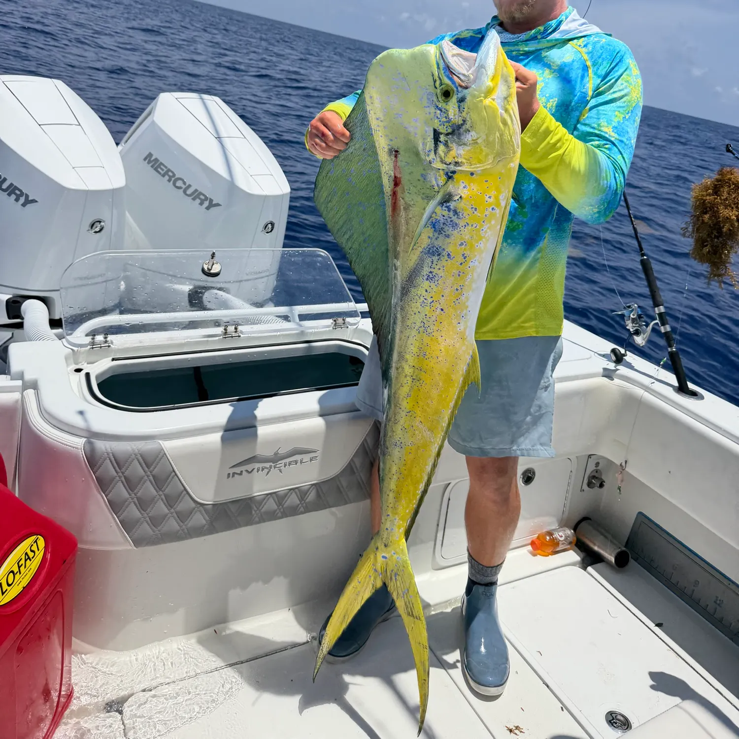 Common dolphinfish caught on Fishbrain