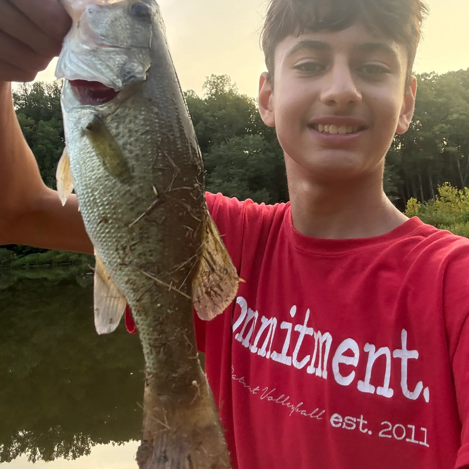 Largemouth bass caught on Fishbrain