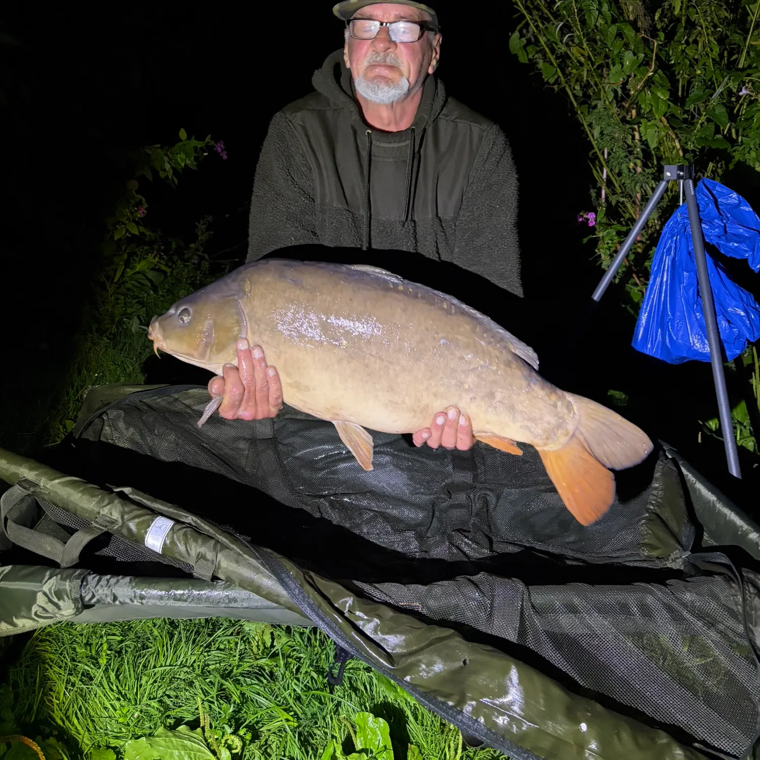 Leather carp caught on Fishbrain