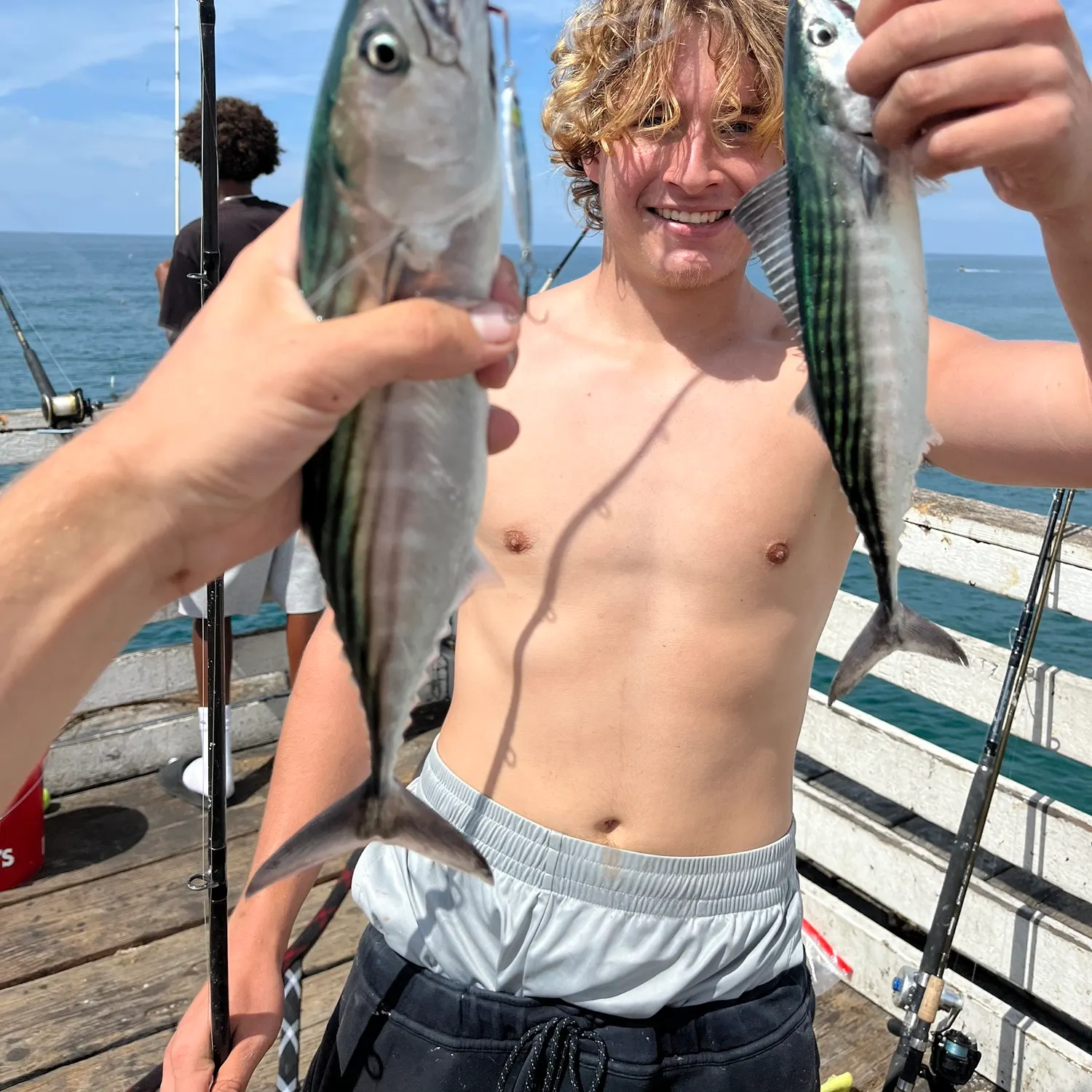 Pacific bonito caught on Fishbrain