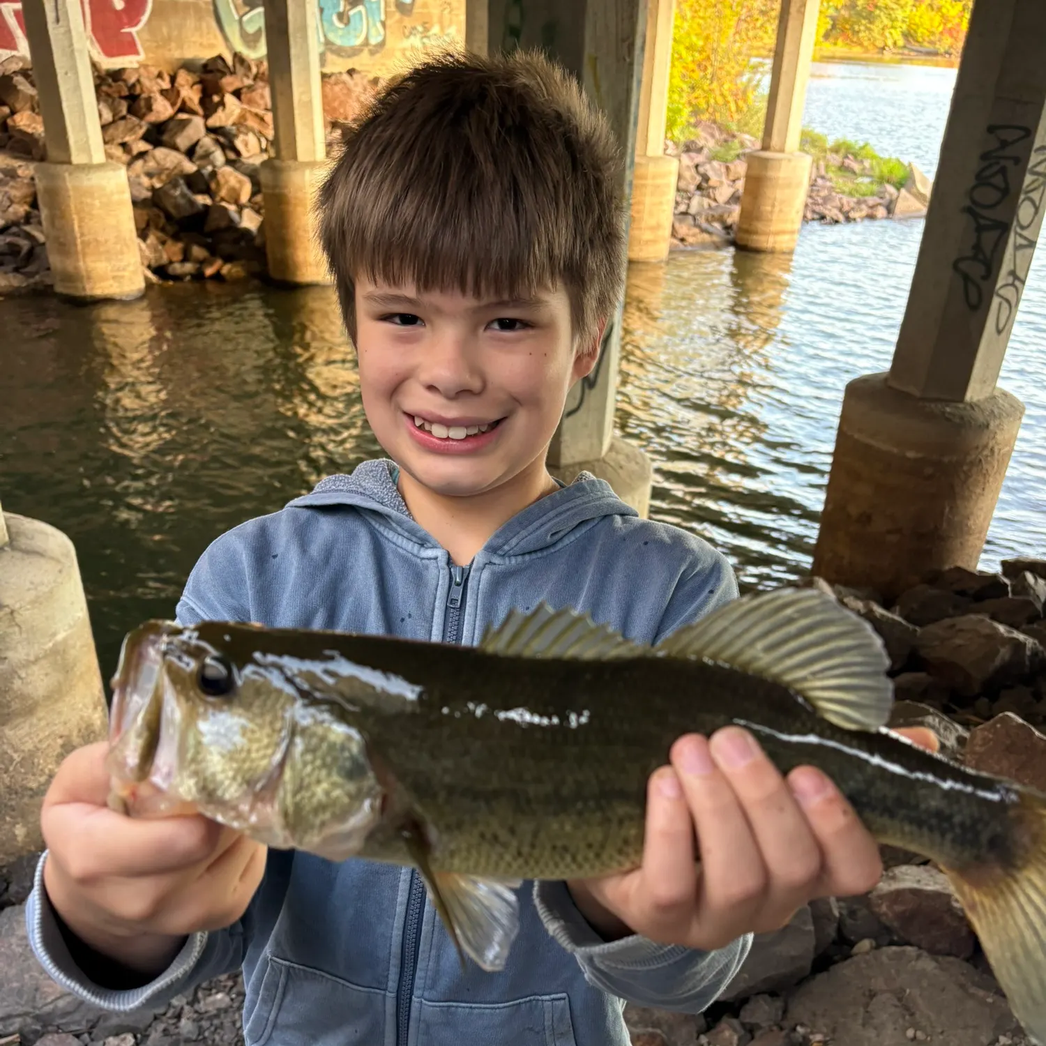 Largemouth bass caught on Fishbrain