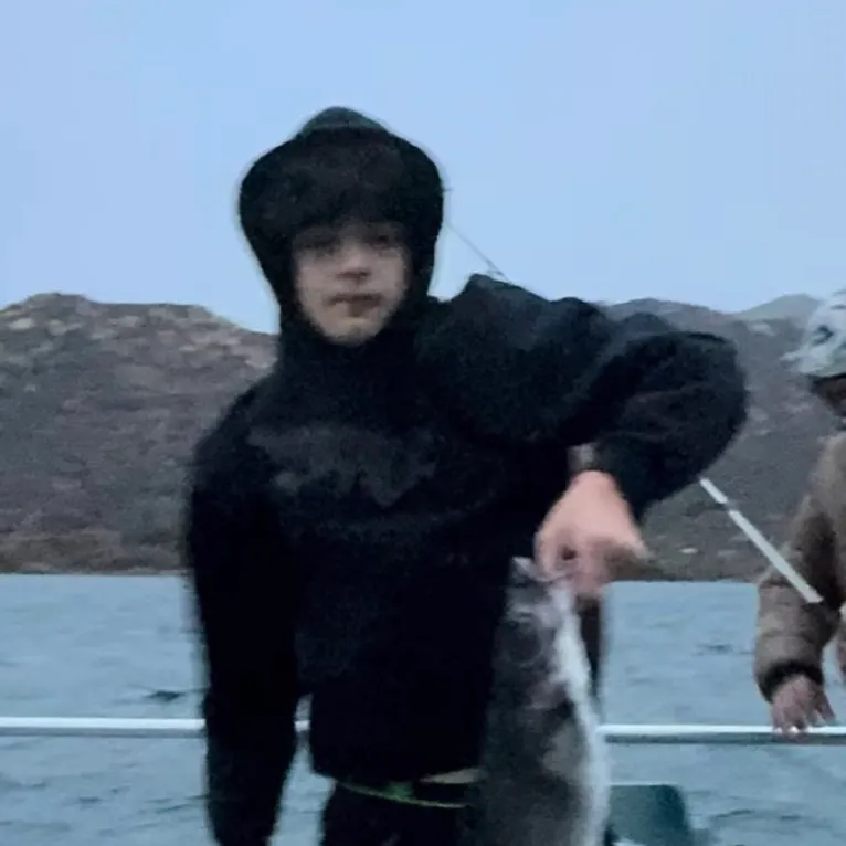 Channel catfish caught on Fishbrain