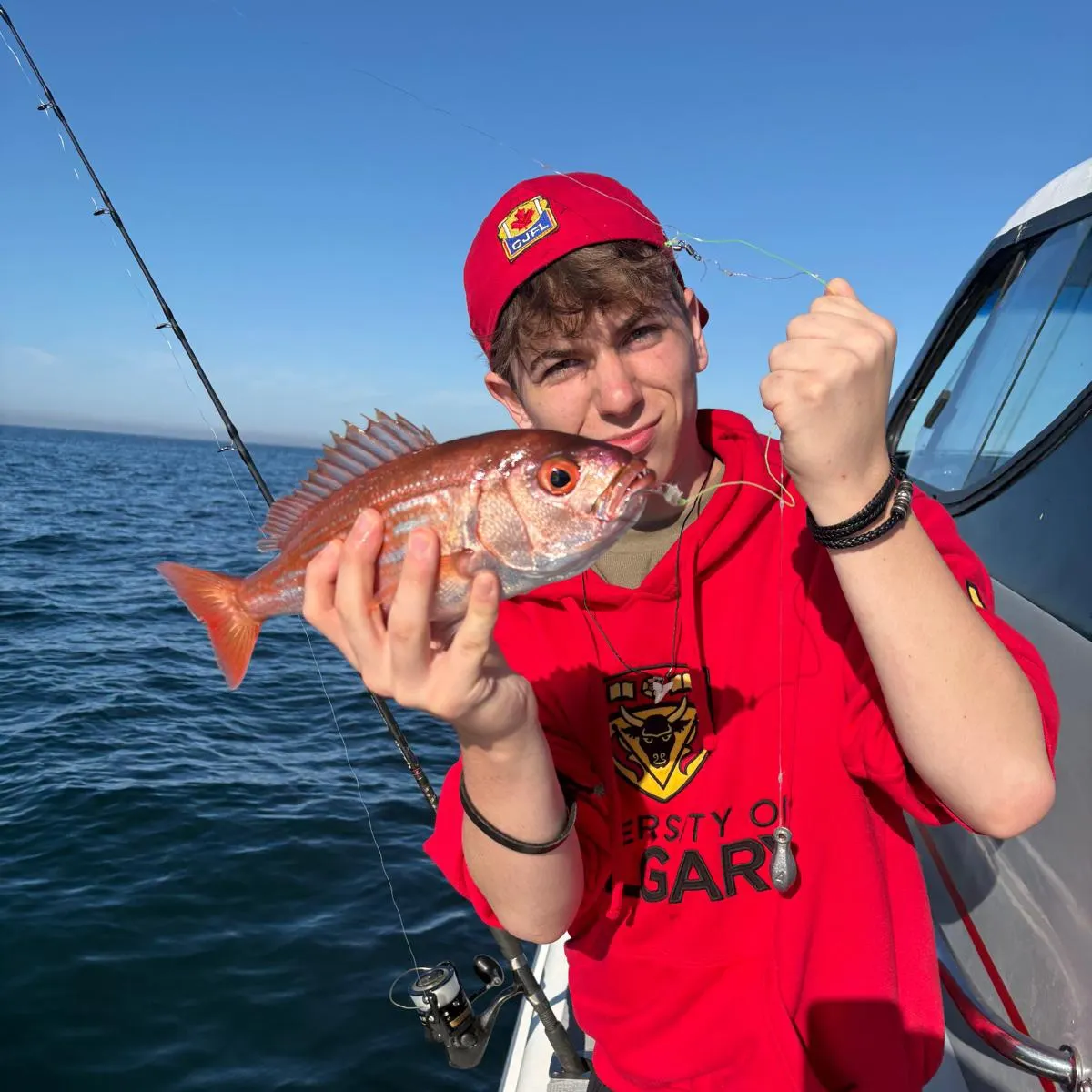 The most recent Roman seabream catches on Fishbrain