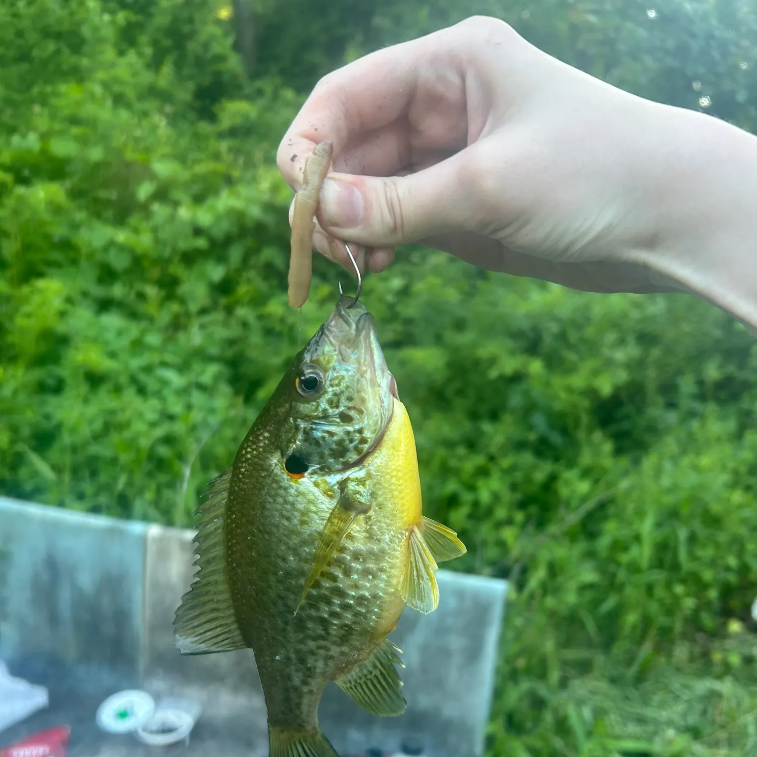 catch