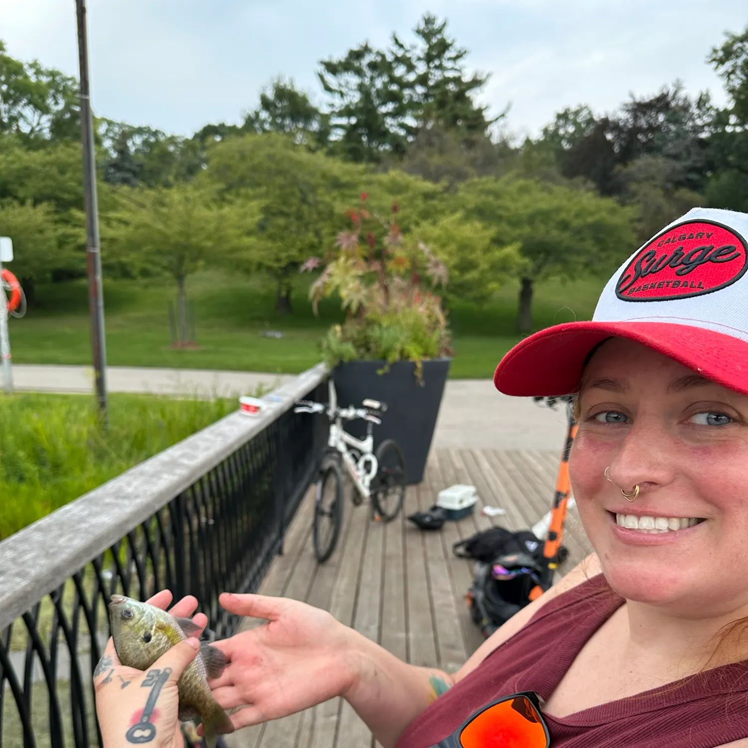 Bluegill caught on Fishbrain