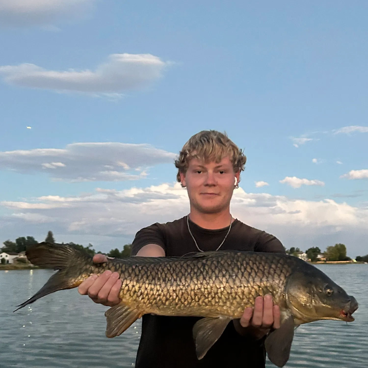 Common carp caught on Fishbrain