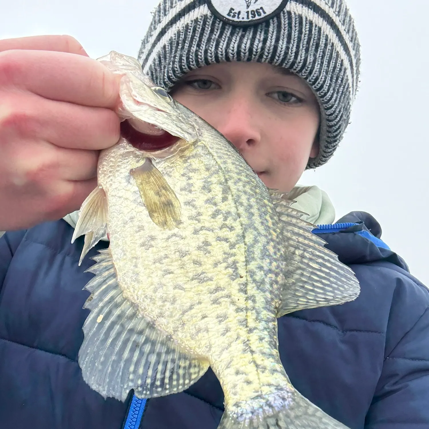 The most recent Black crappie catches on Fishbrain