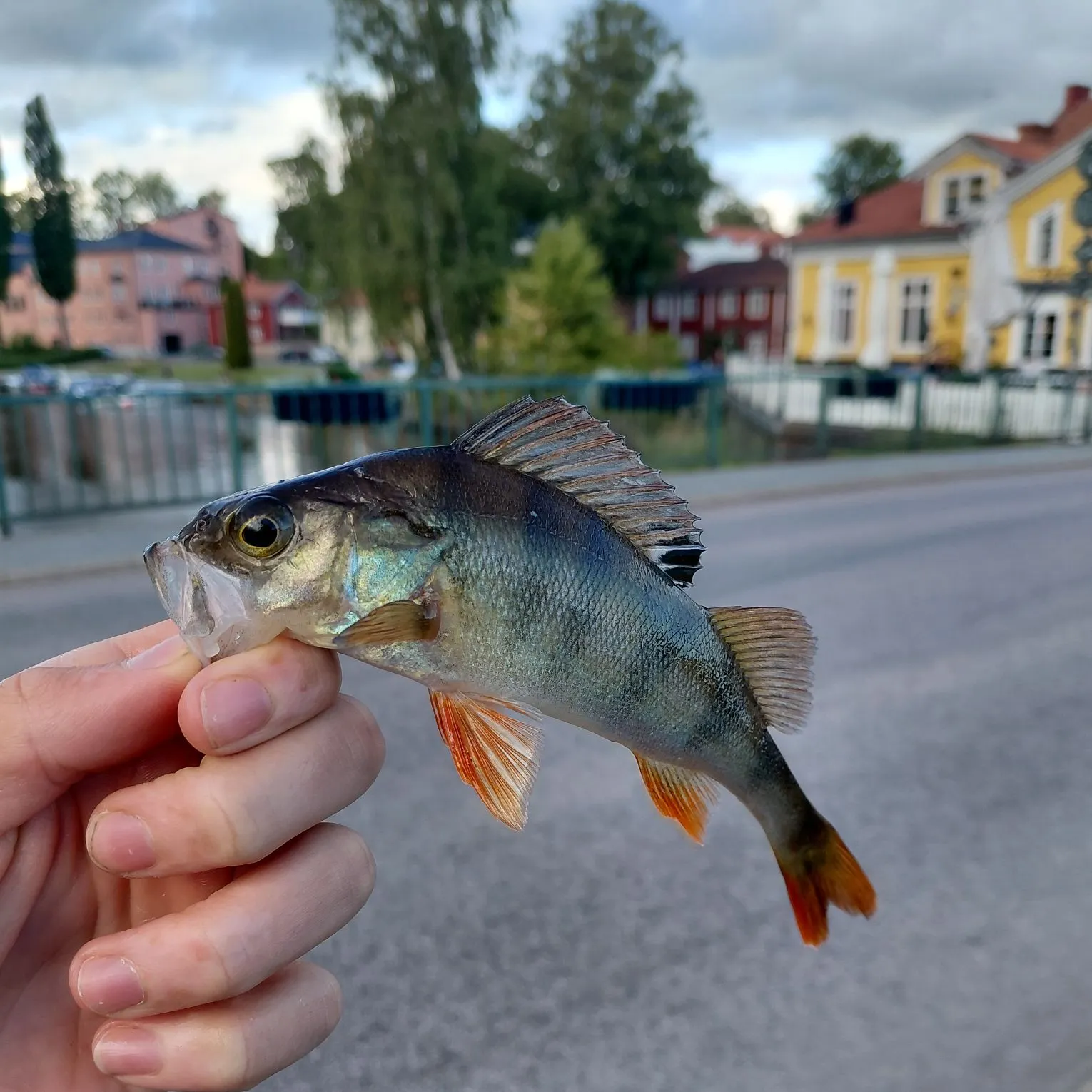 catch