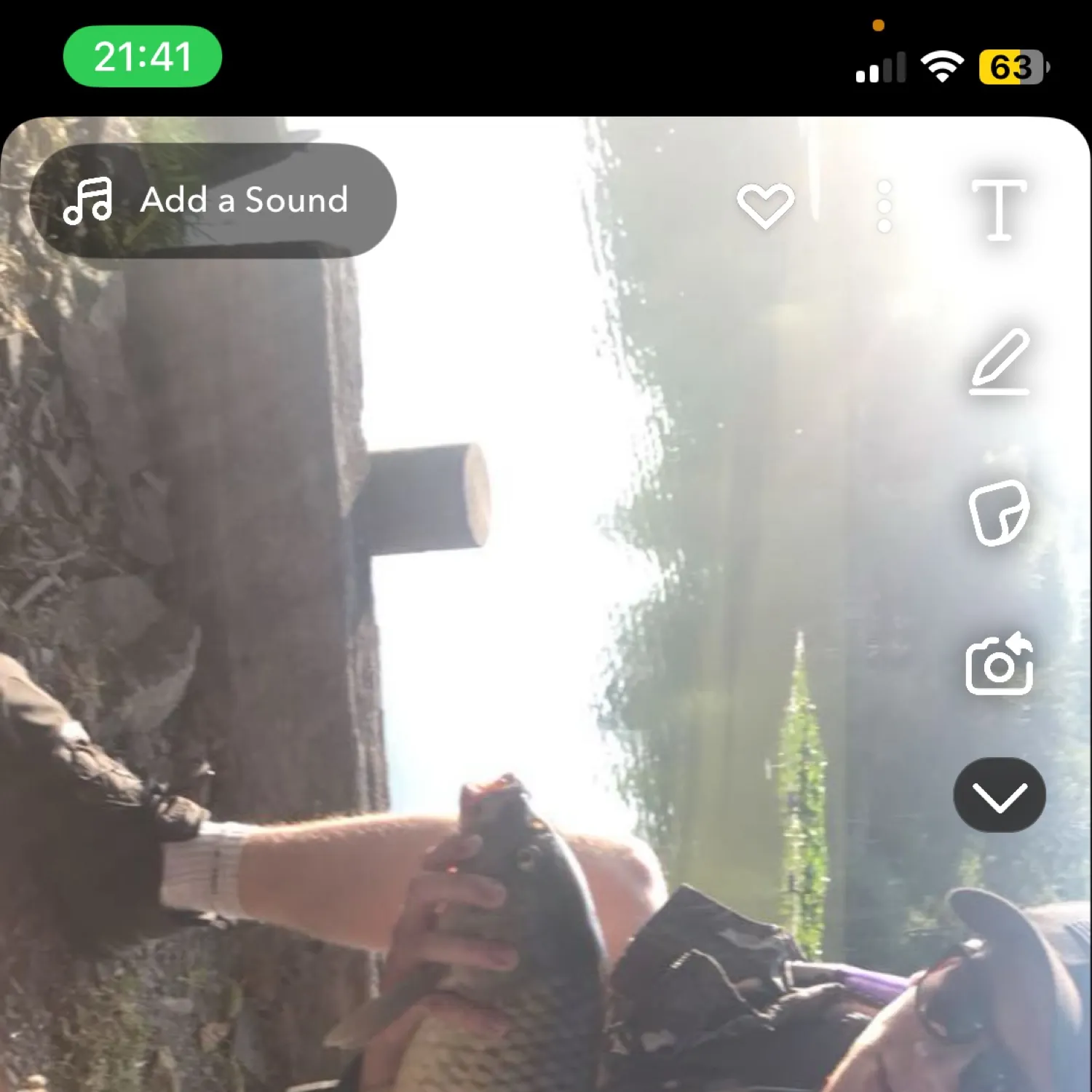 recently logged catches