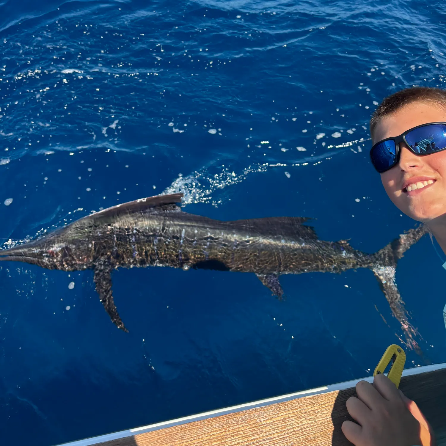 The most recent Indo-Pacific sailfish catches on Fishbrain
