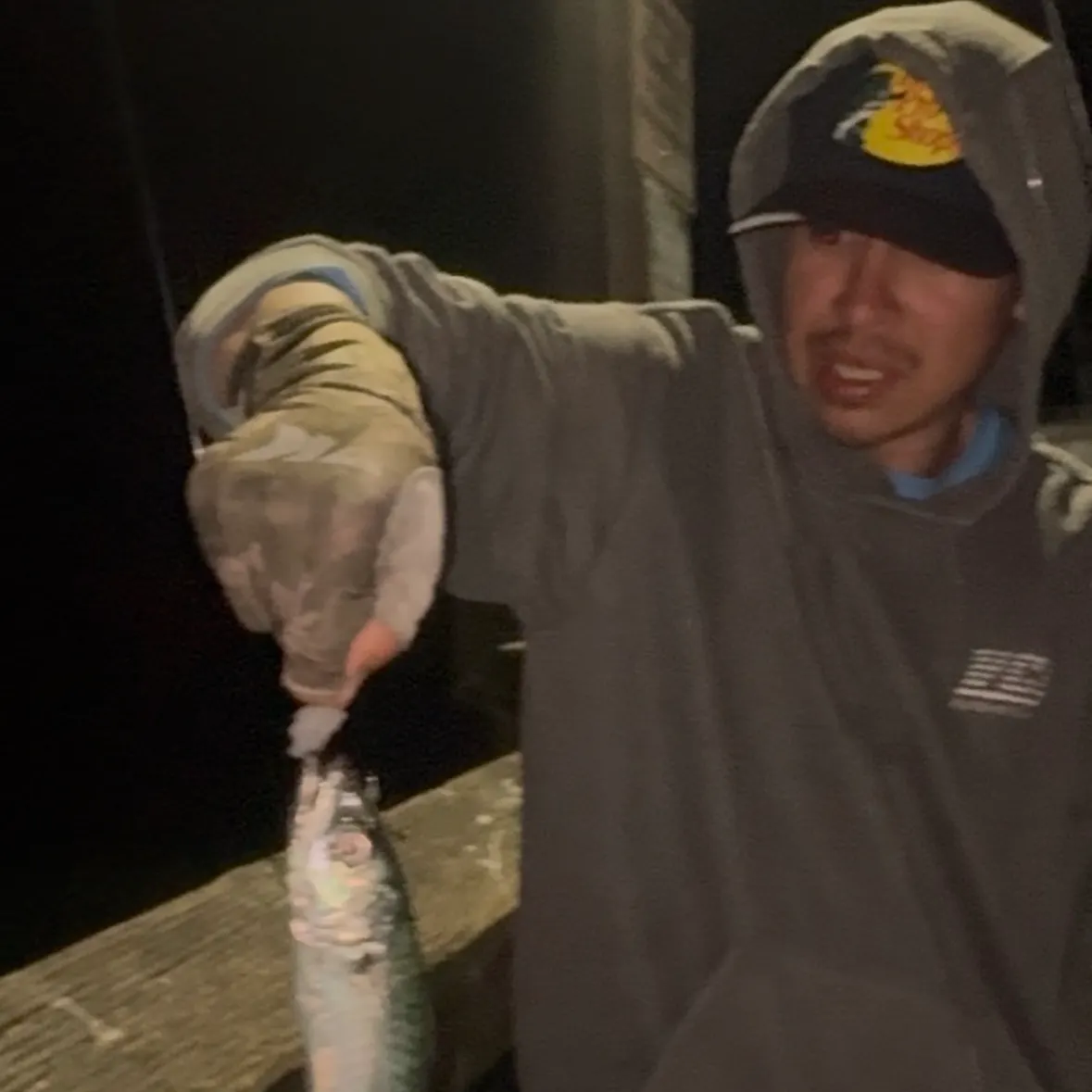 Pacific chub mackerel caught on Fishbrain