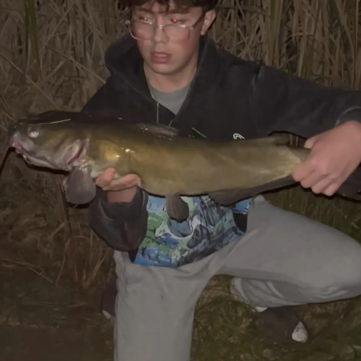Channel catfish caught on Fishbrain