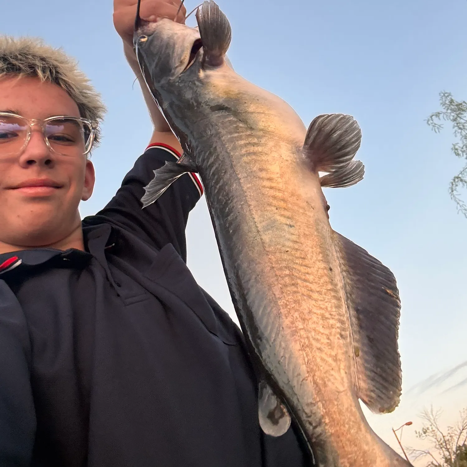 Channel catfish caught on Fishbrain