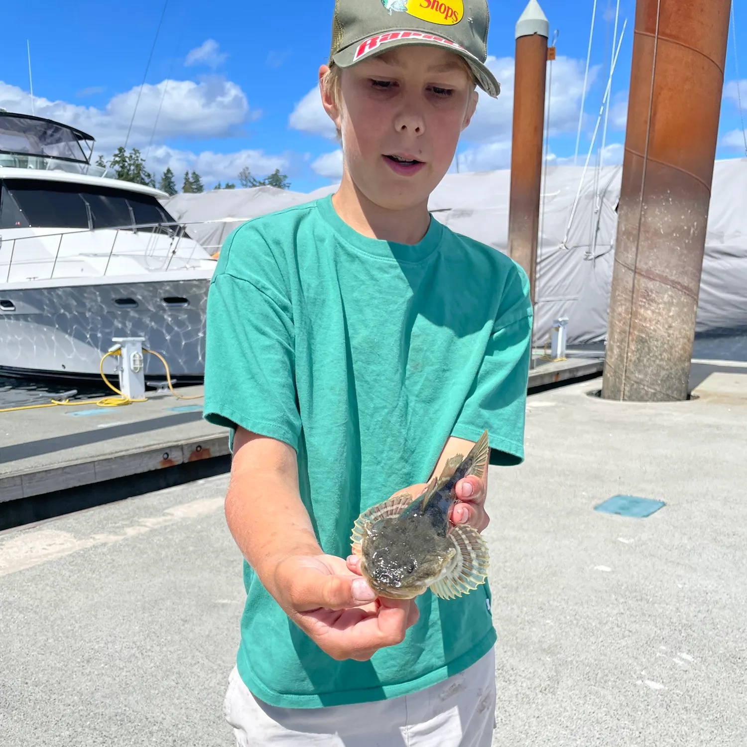 The most recent Pacific staghorn sculpin catches on Fishbrain