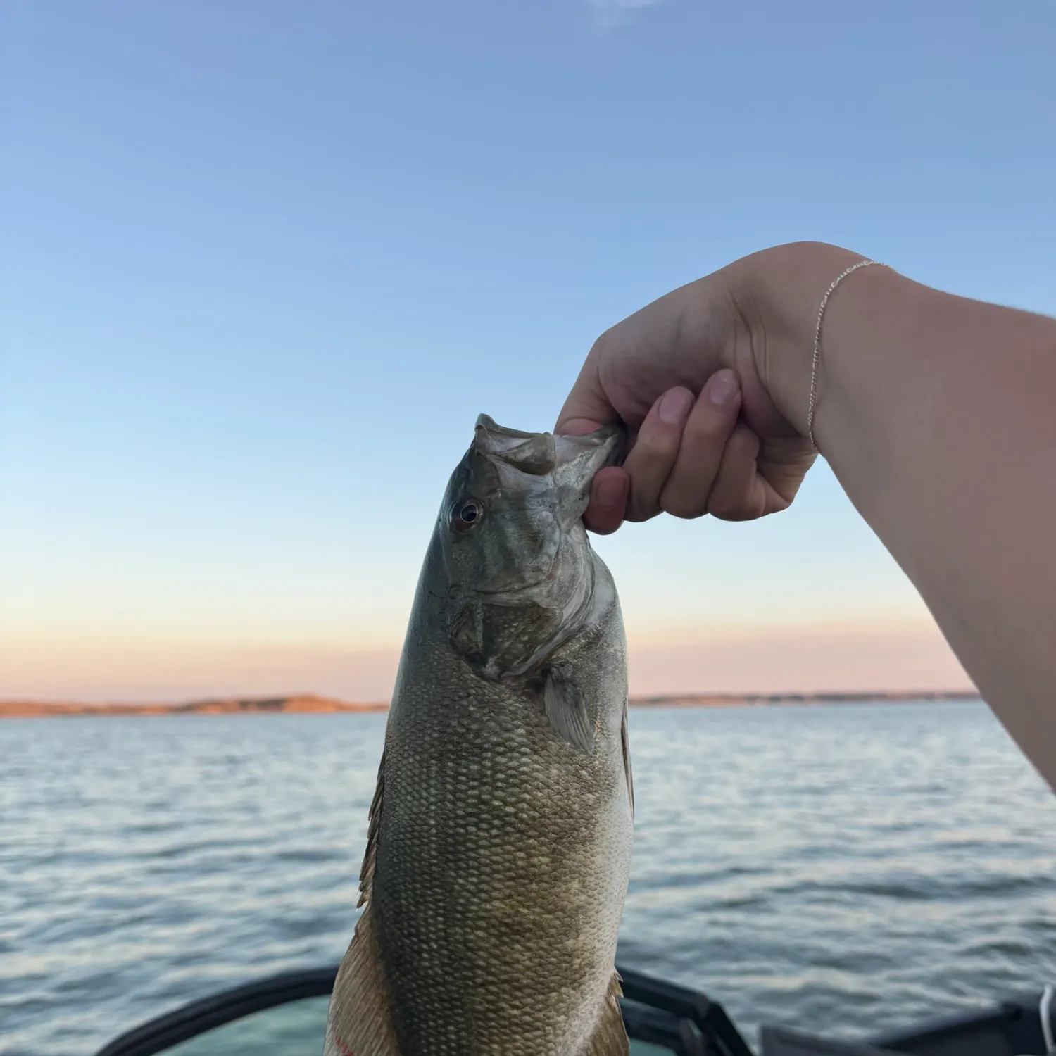 Smallmouth bass caught on Fishbrain