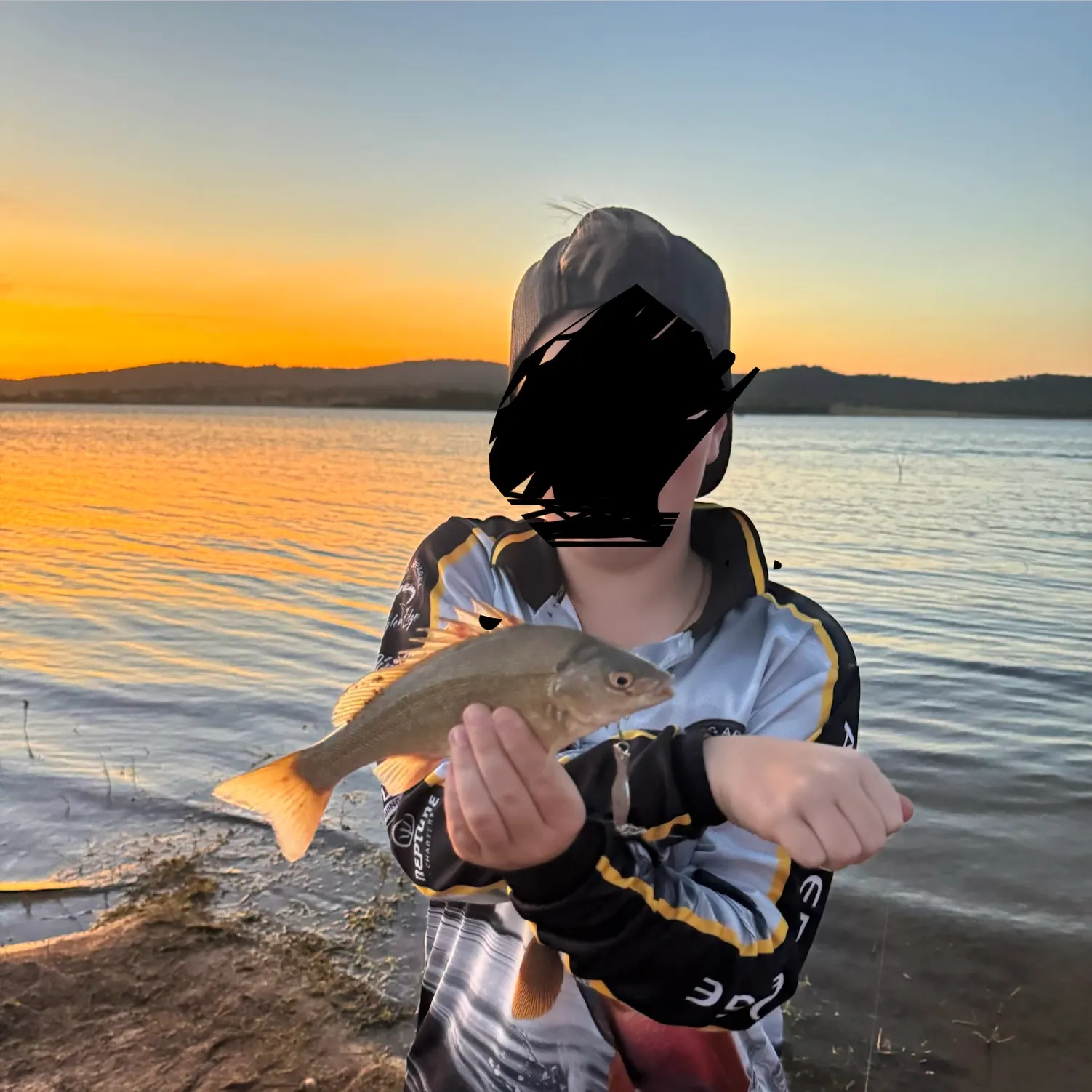 The most recent Bidyan perch catches on Fishbrain