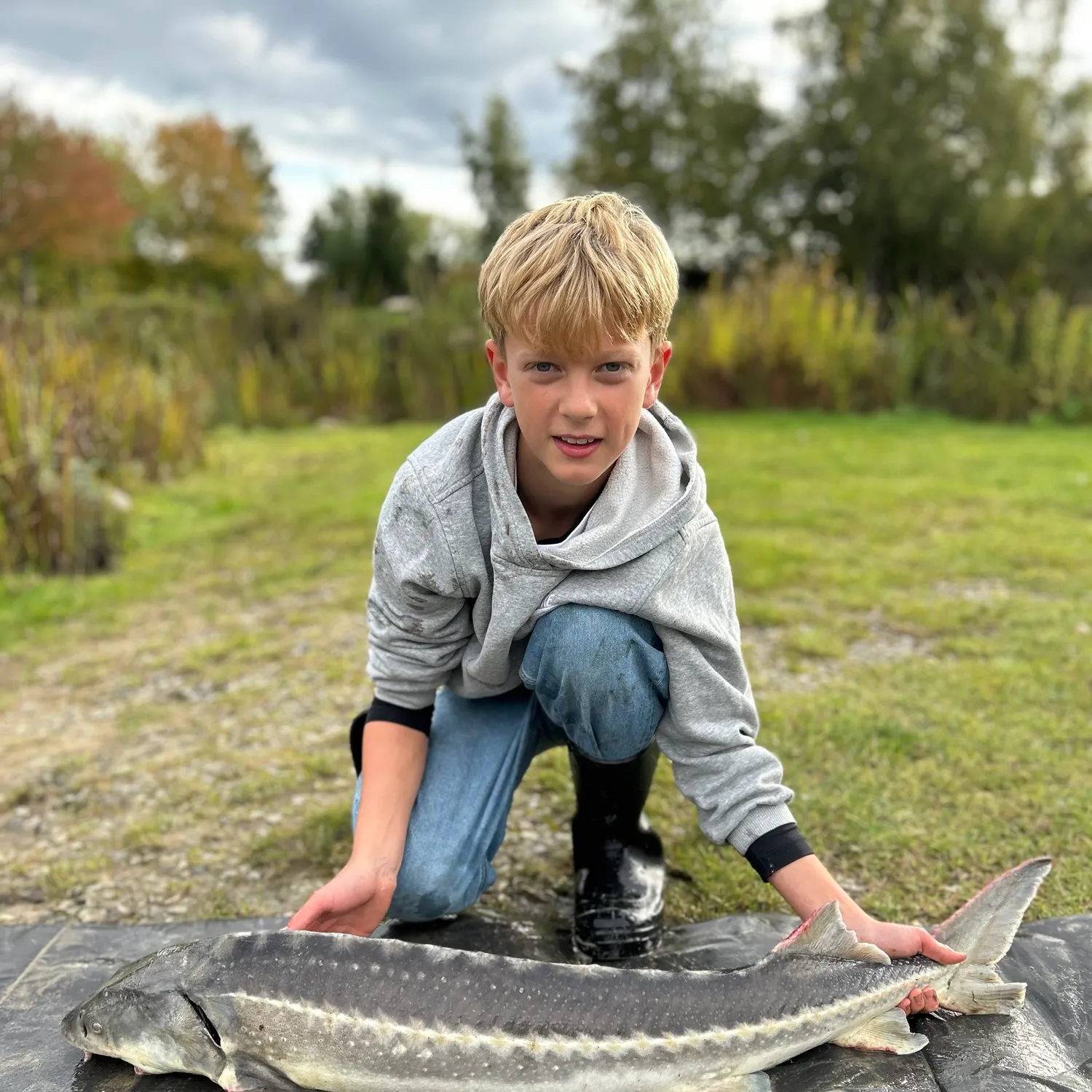 The most recent White sturgeon catches on Fishbrain