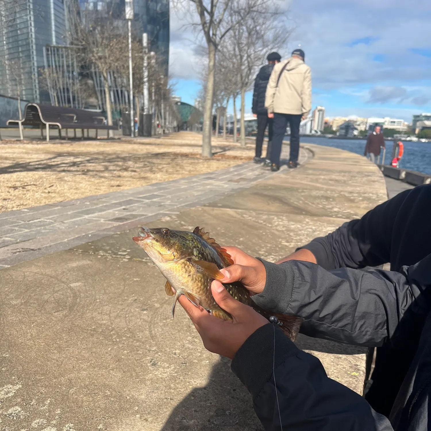 catch