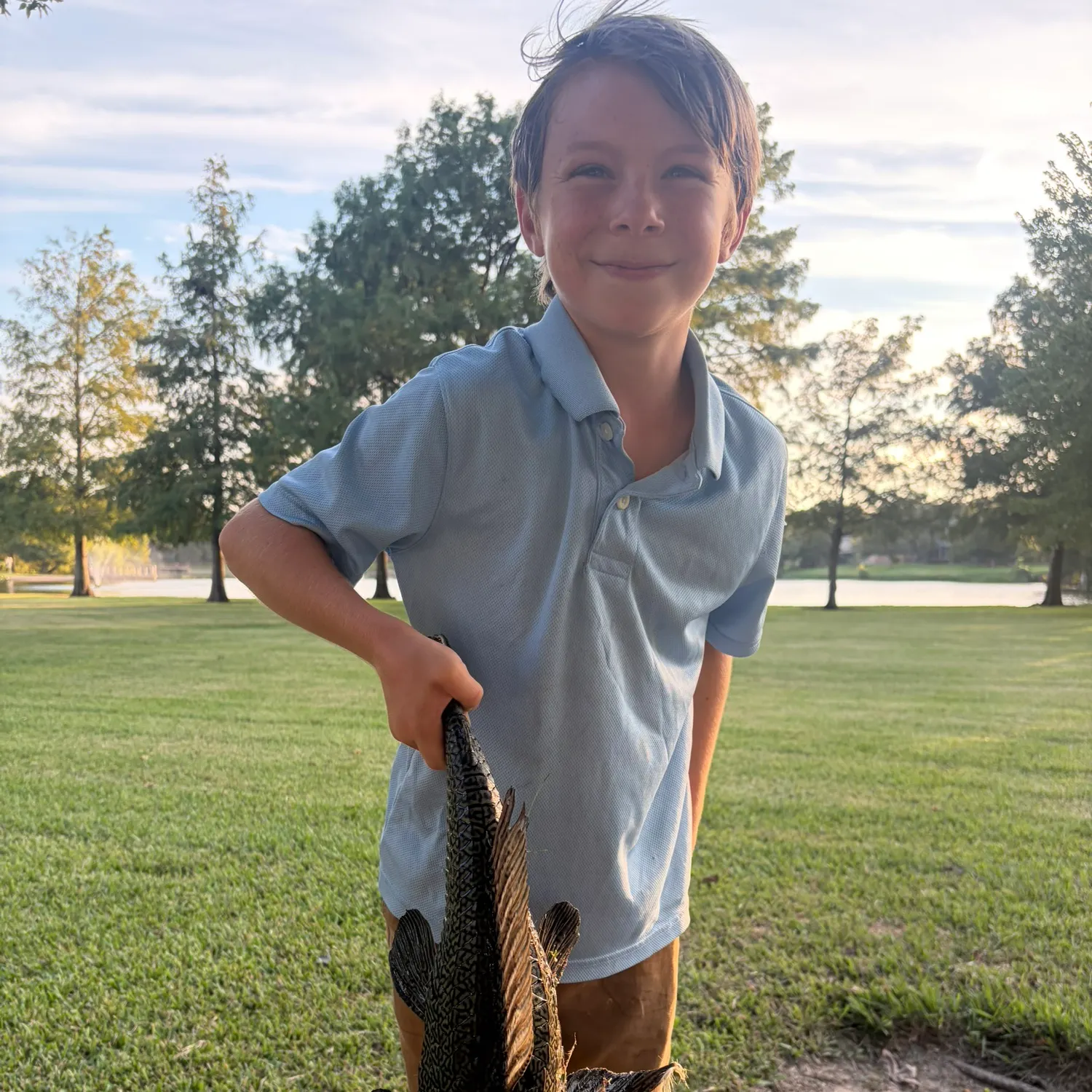 Suckermouth catfish caught on Fishbrain