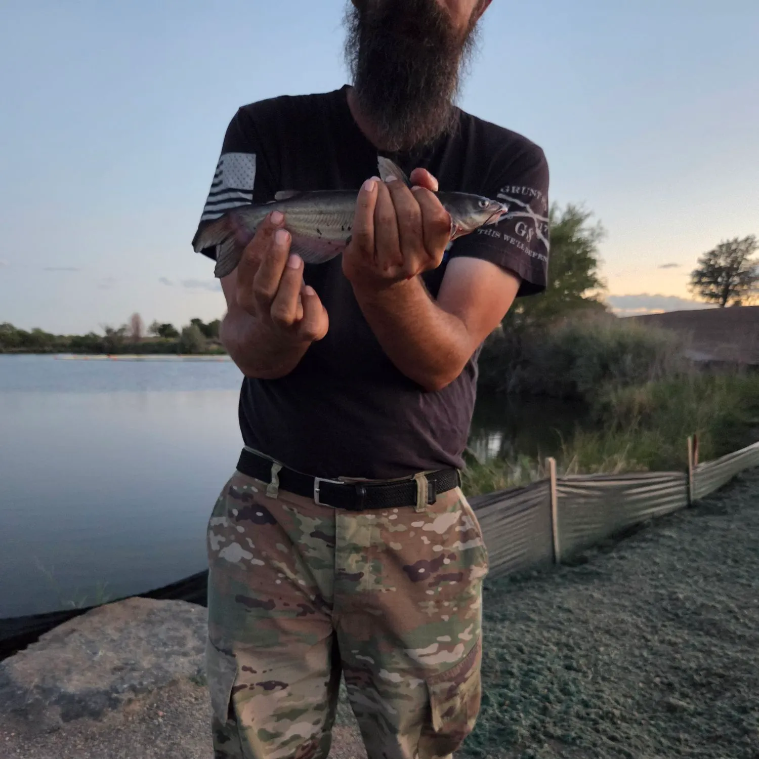 Channel catfish caught on Fishbrain