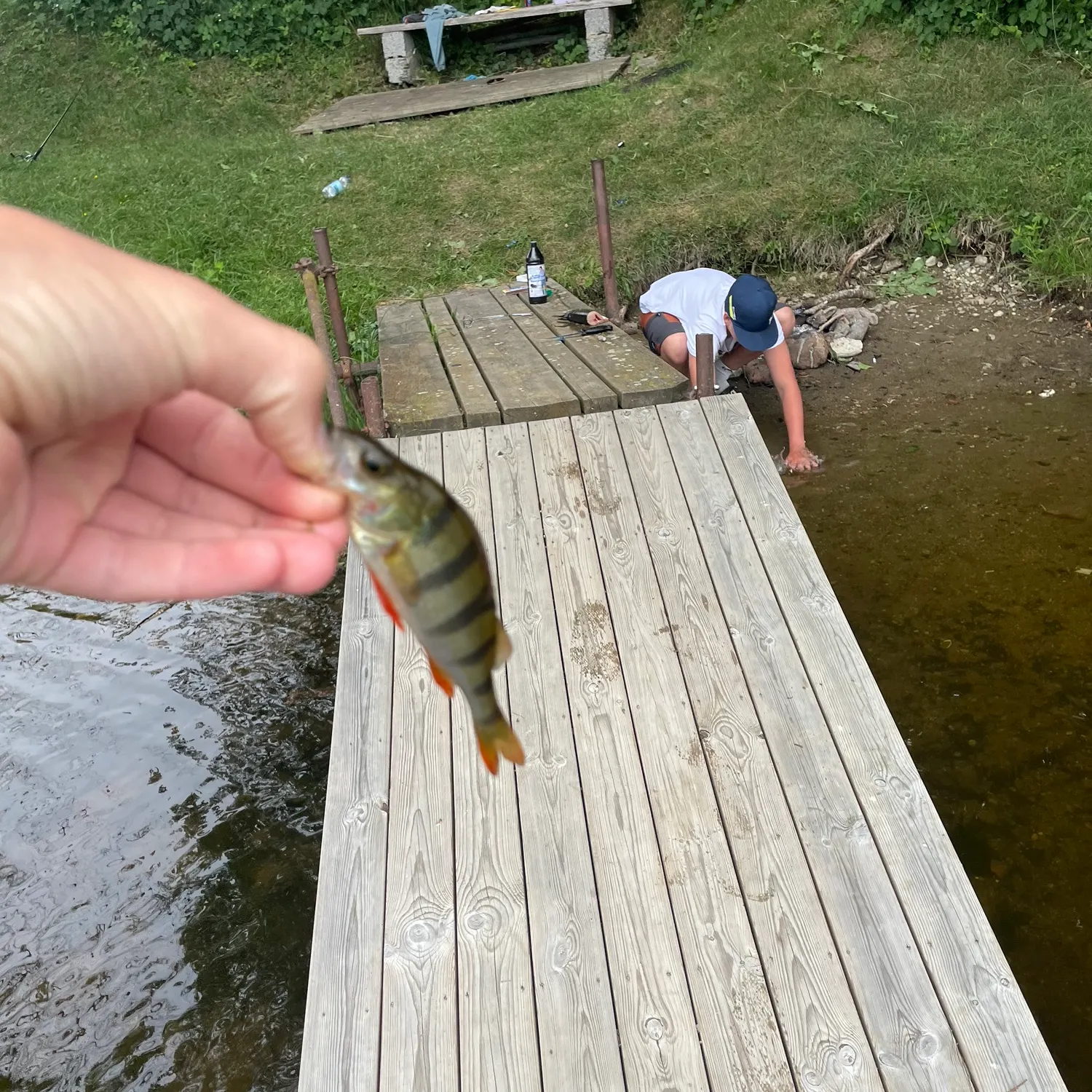 catch