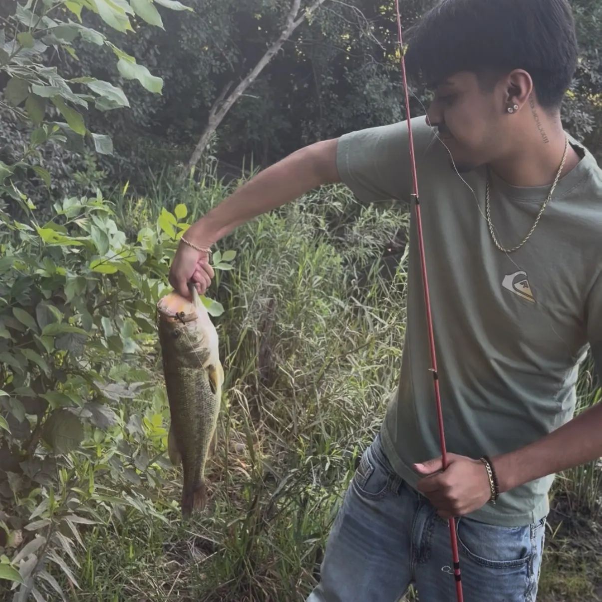Fish caught on Fishbrain