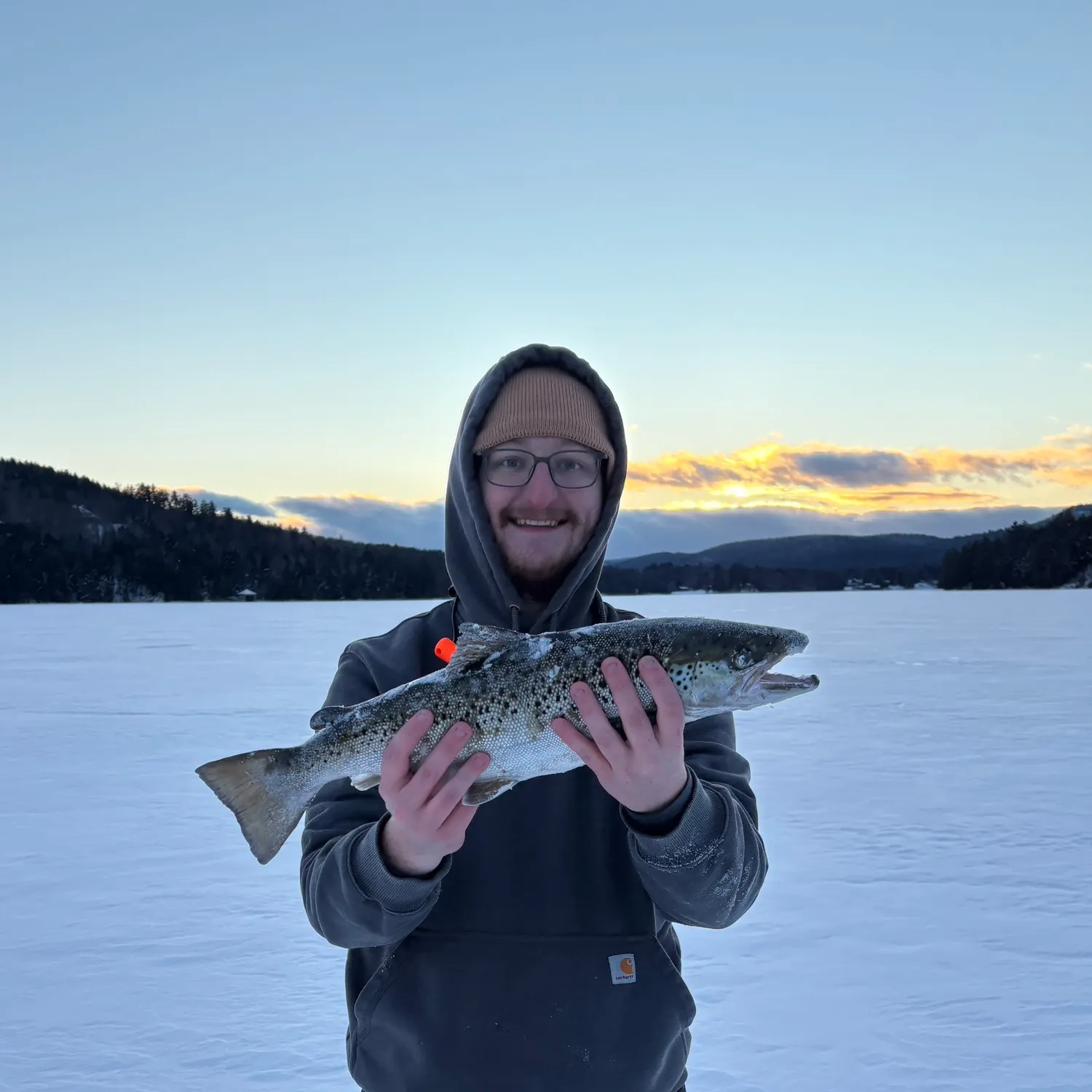 The most recent Landlocked atlantic salmon catches on Fishbrain