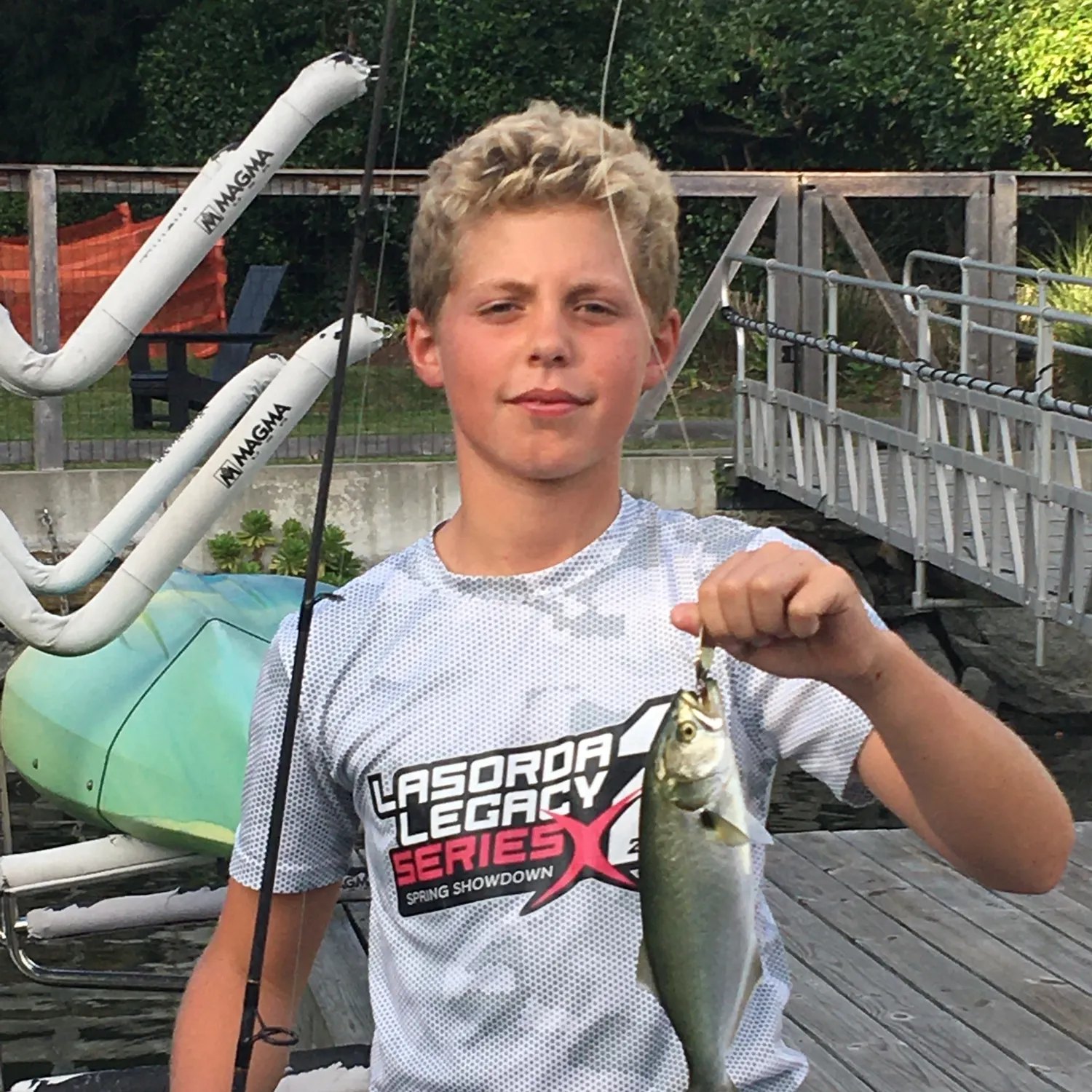 Bluefish caught on Fishbrain