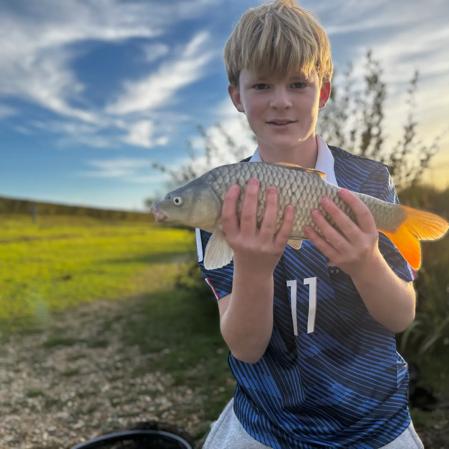 Common carp caught on Fishbrain
