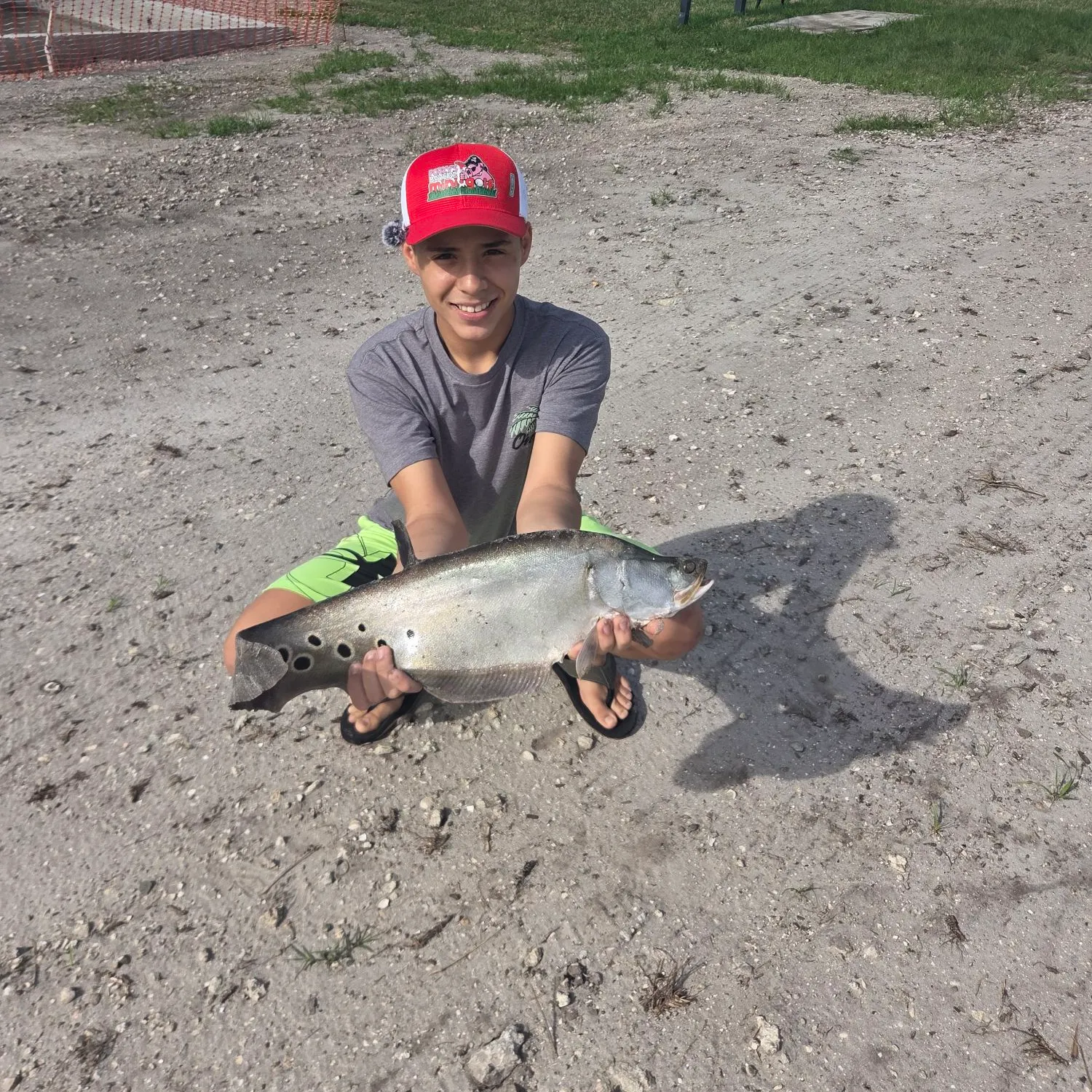 The most recent Clown knifefish catches on Fishbrain