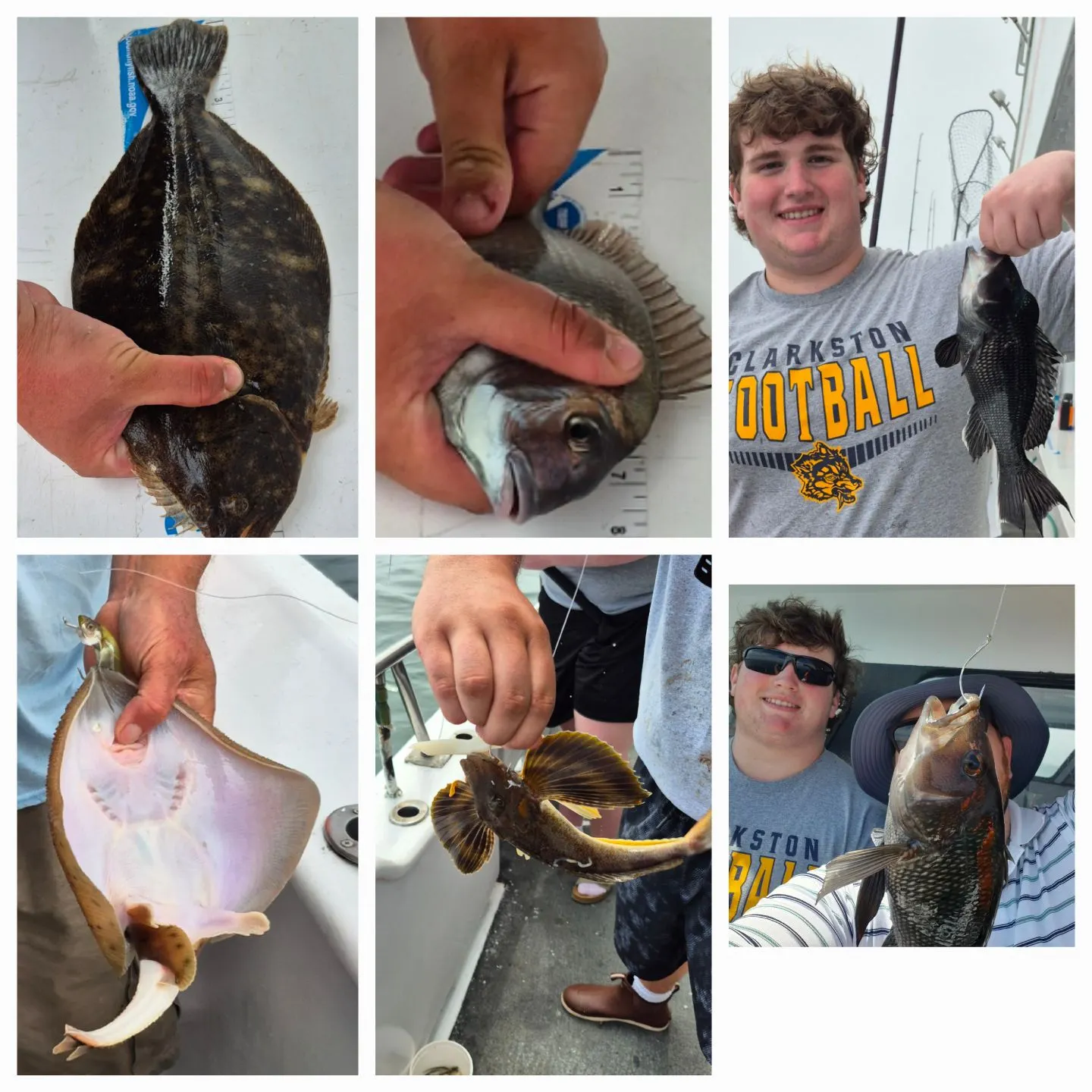 recently logged catches