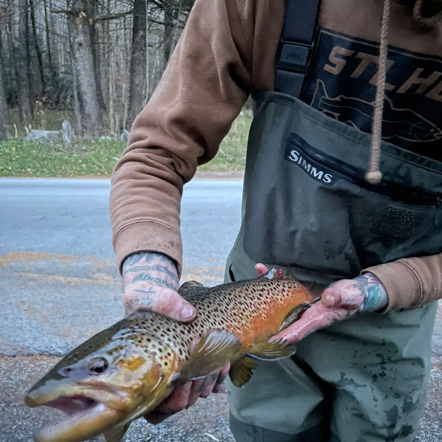 recently logged catches