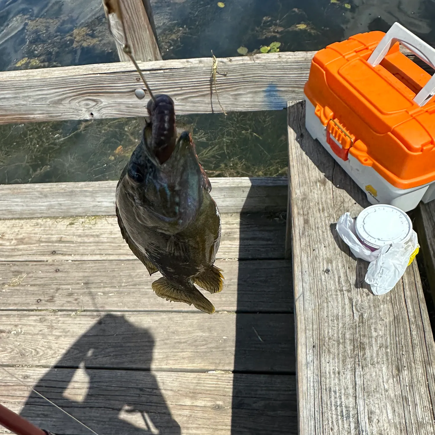 catch