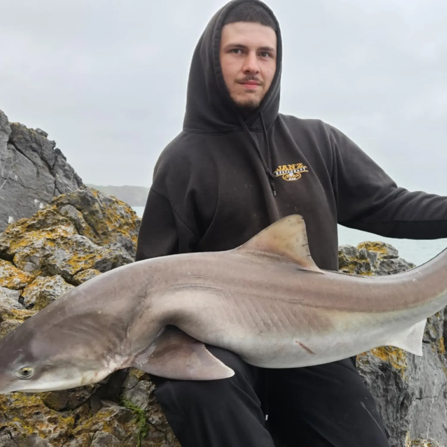 The most recent Tope shark catches on Fishbrain
