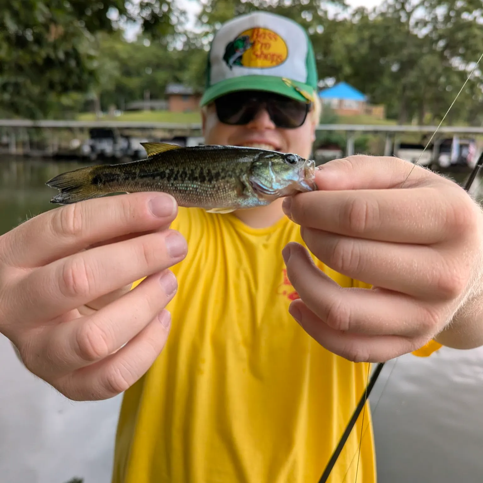 Largemouth bass caught on Fishbrain