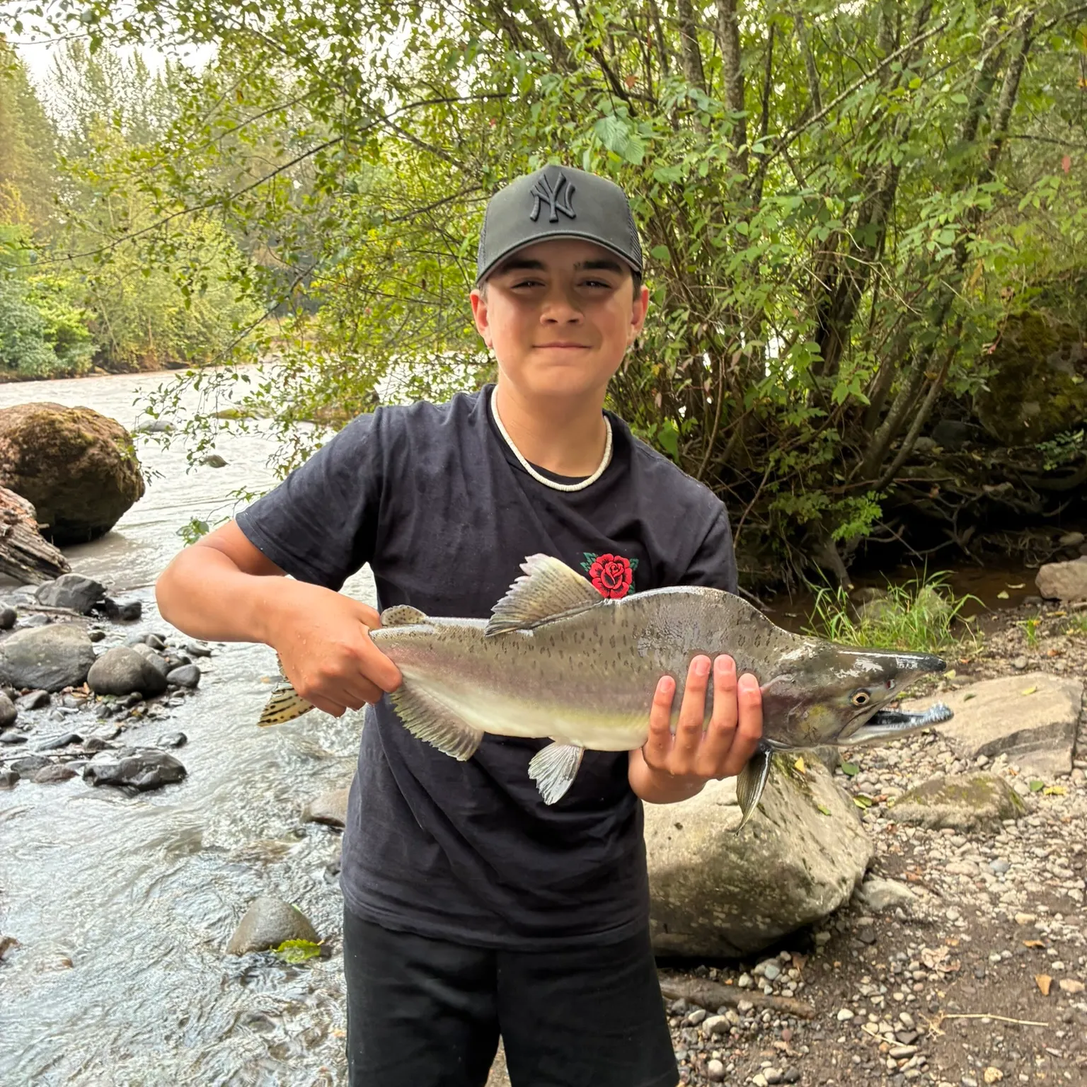 The most recent Pink salmon catches on Fishbrain